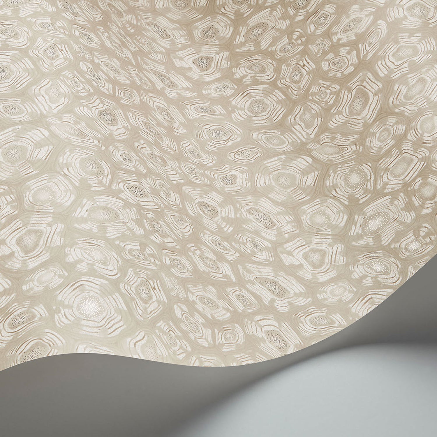 Cole & Son Ardmore Jabula Savanna Shell Wallpaper