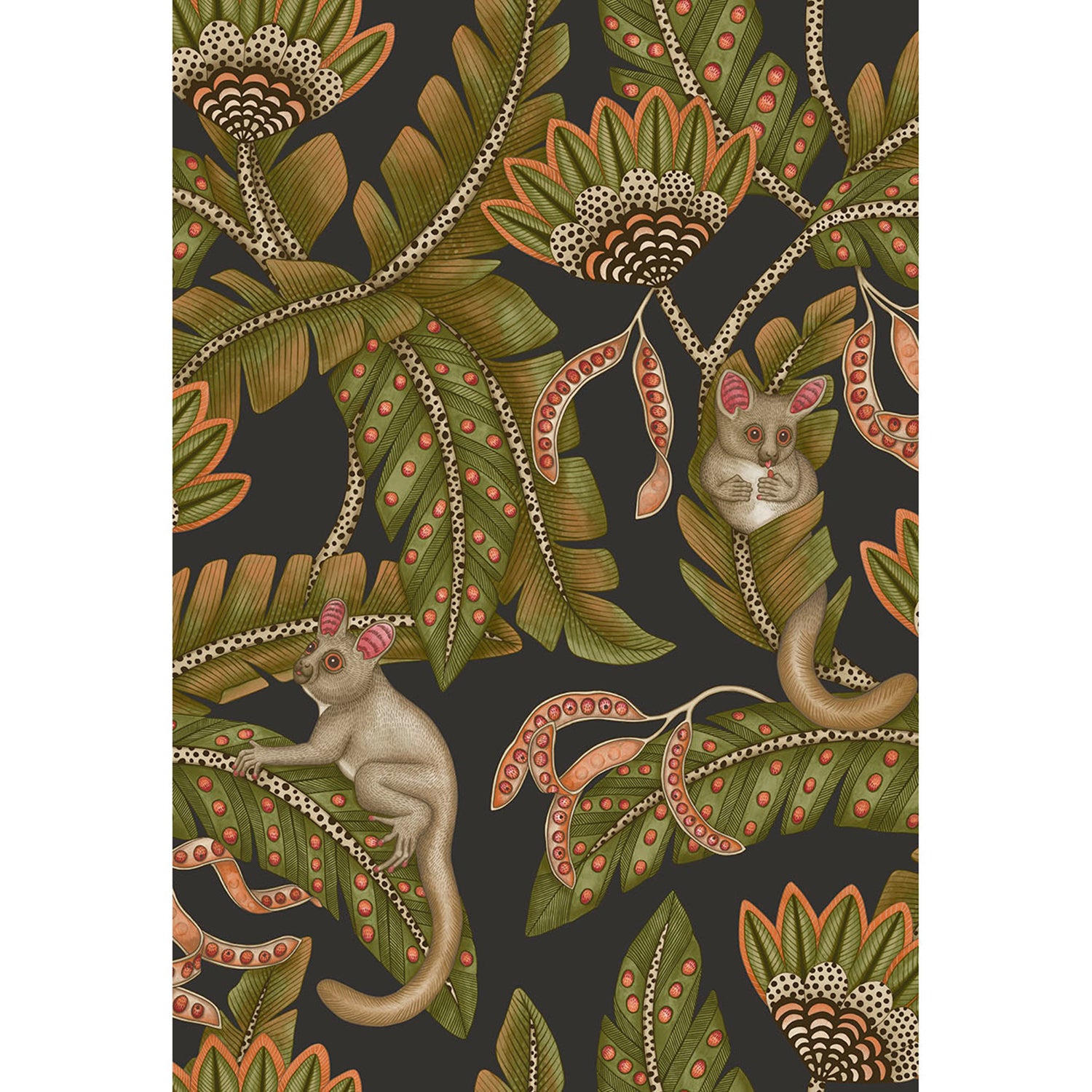 Cole & Son Ardmore Jabula Bush Baby Wallpaper