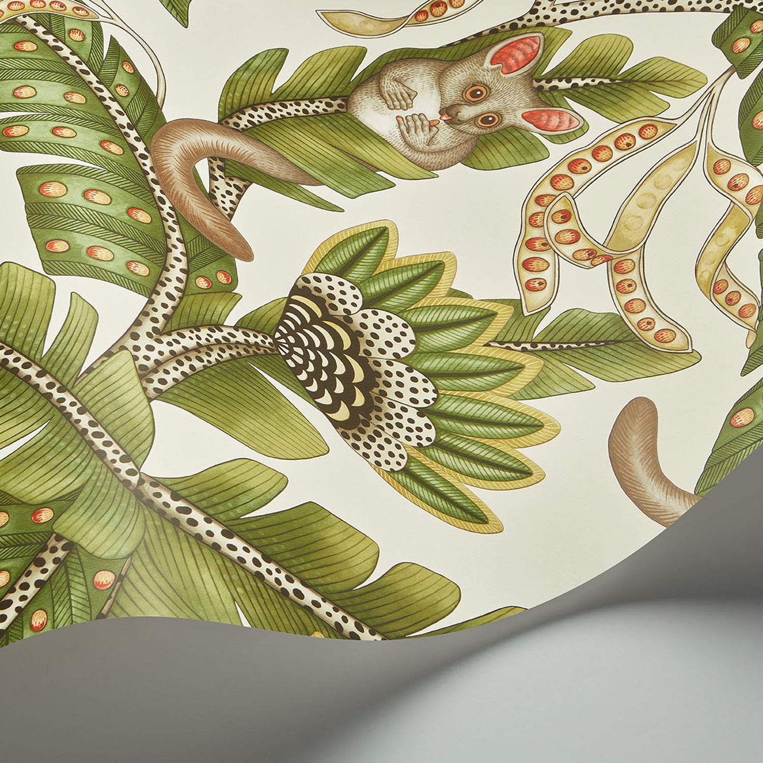 Cole & Son Ardmore Jabula Bush Baby Wallpaper