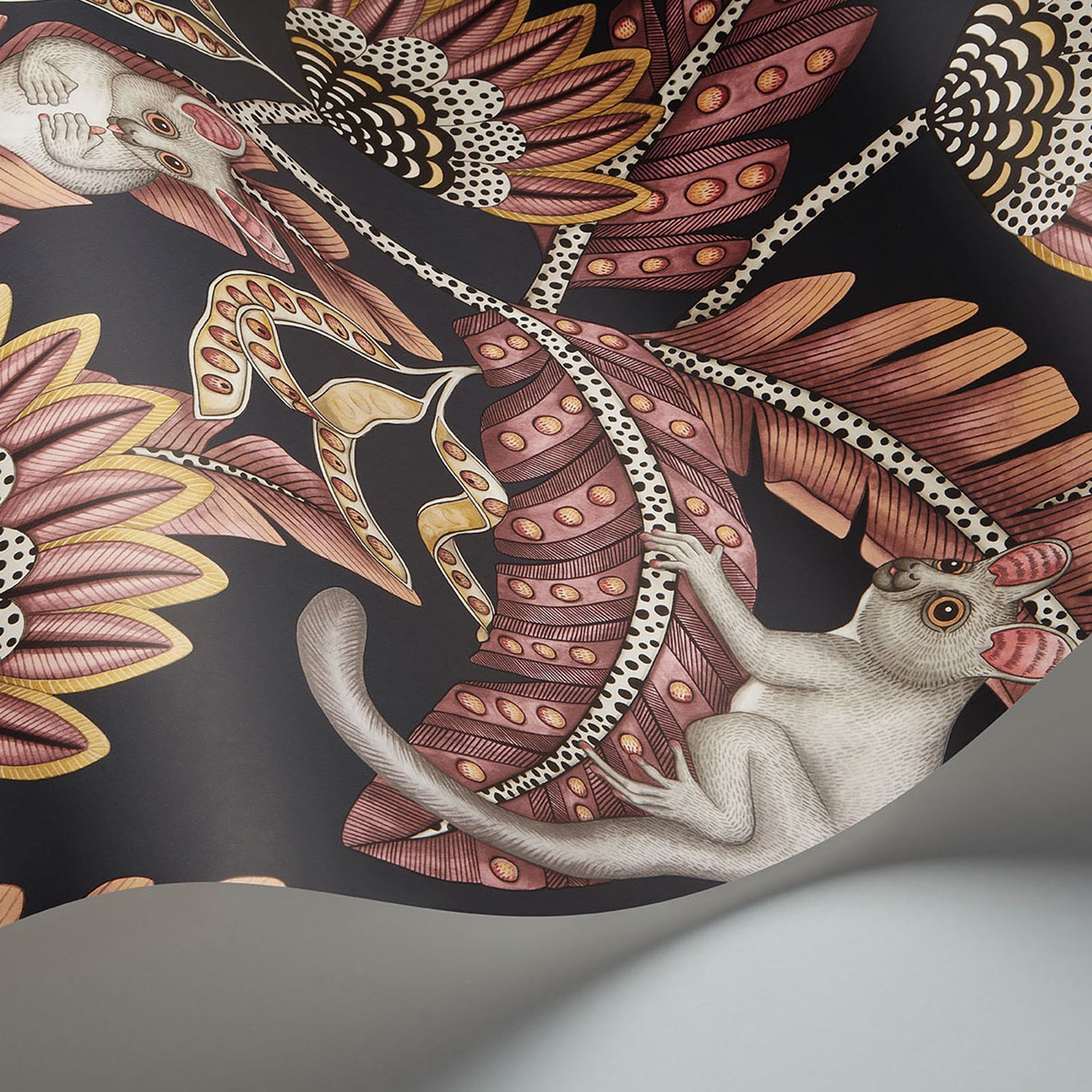 Cole & Son Ardmore Jabula Bush Baby Wallpaper