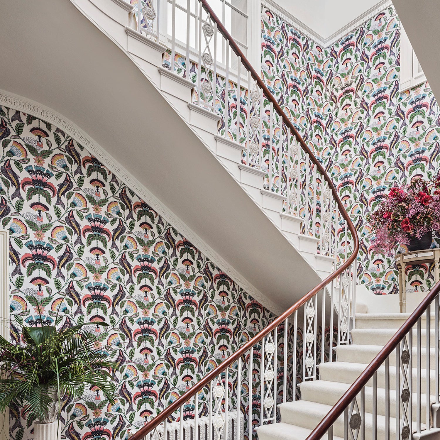 Cole & Son Ardmore Jabula Nene Wallpaper