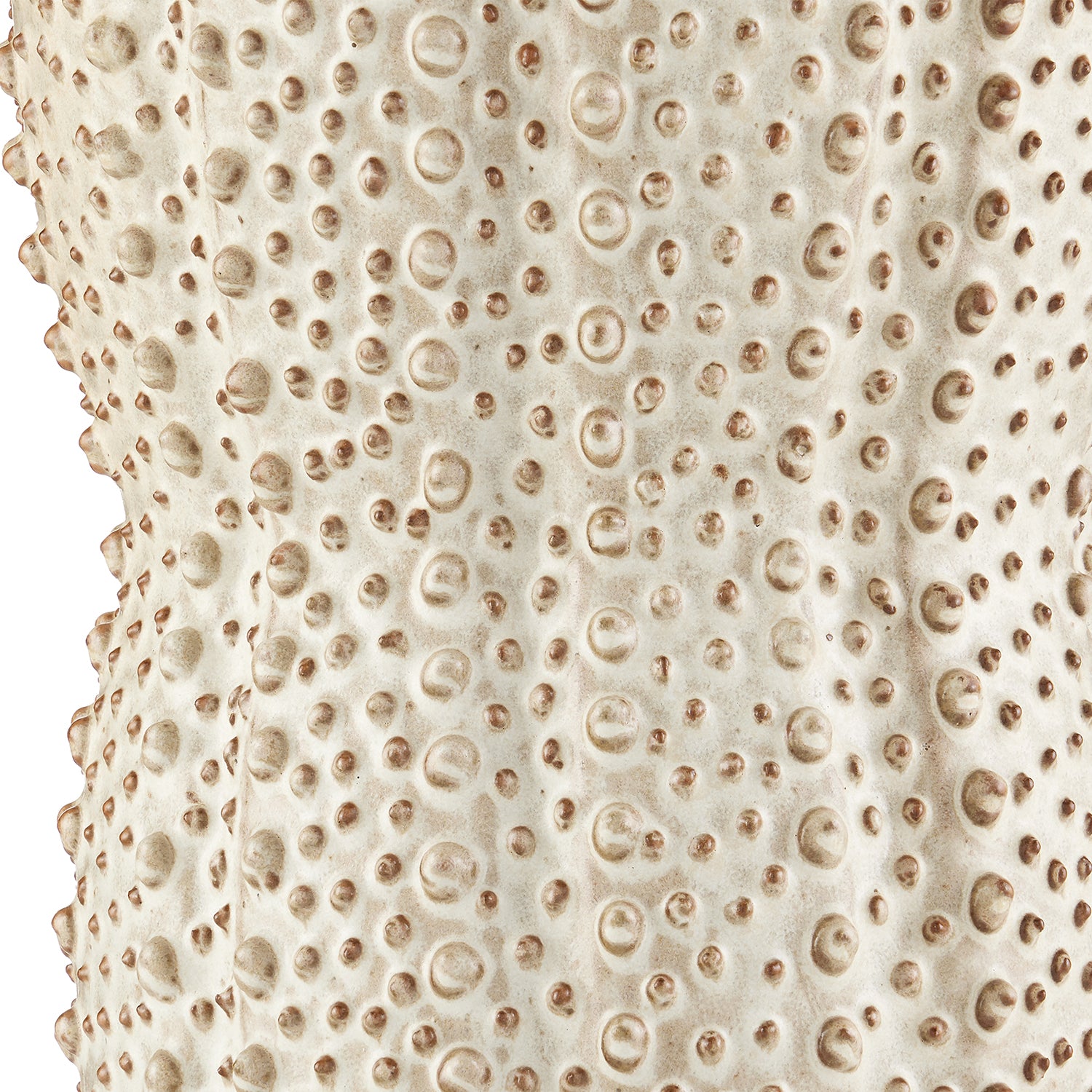 Currey & Co Peanut Vase - Final Sale