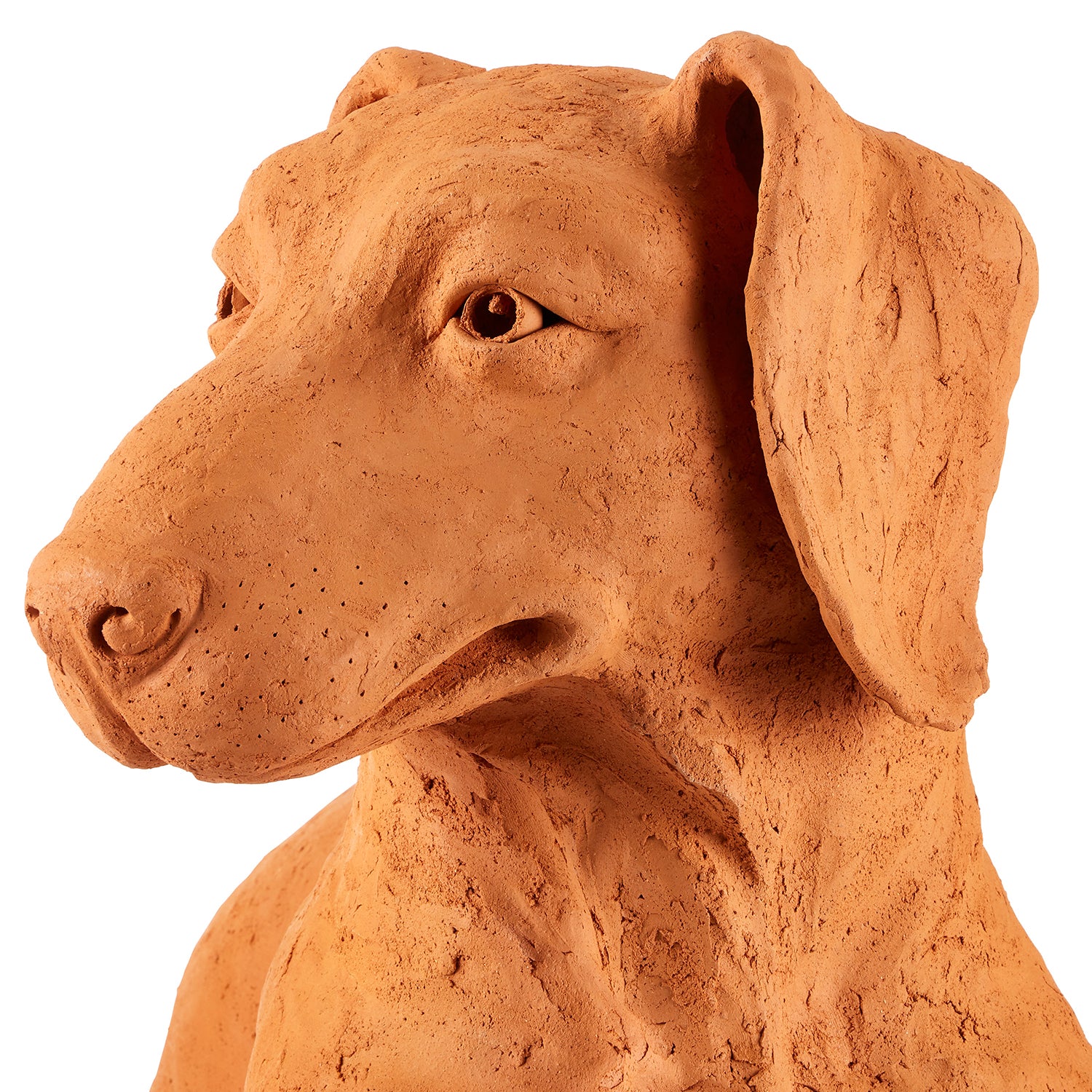 Currey & Co Rocky the Teckel Sculpture