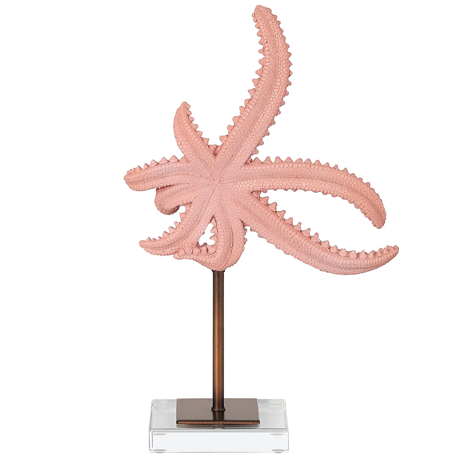 Currey & Co Starfish Set of 2