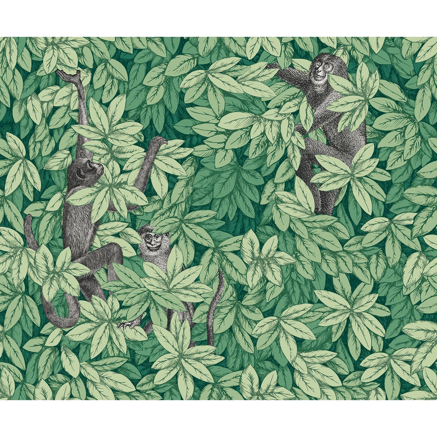 Cole & Son Fornasetti Senza Tempo II Foglie E Scimmie Wallpaper