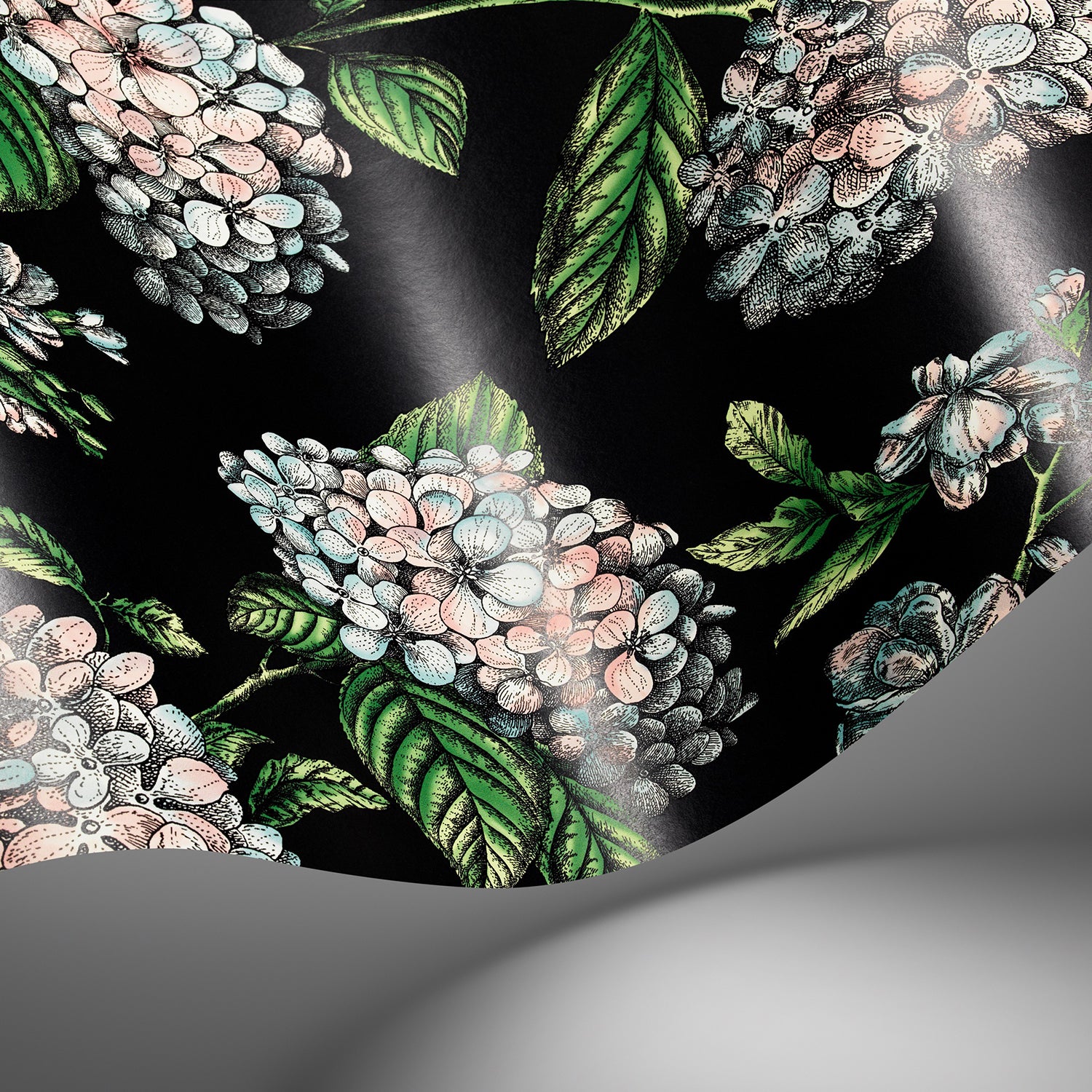 Cole & Son Fornasetti Senza Tempo II Ramo Di Ortensia Wallpaper