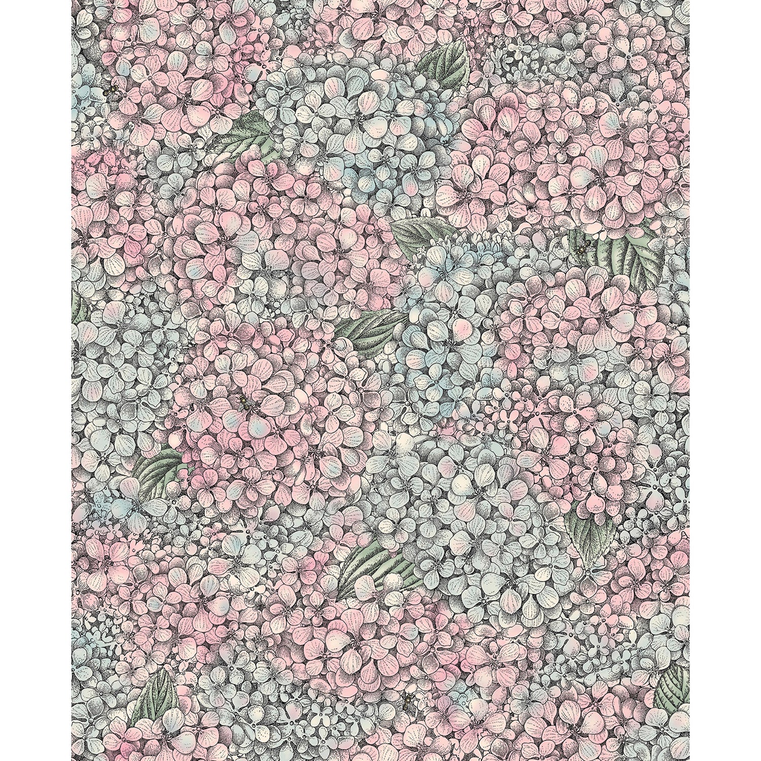 Cole & Son Fornasetti Senza Tempo II Ortensia Wallpaper