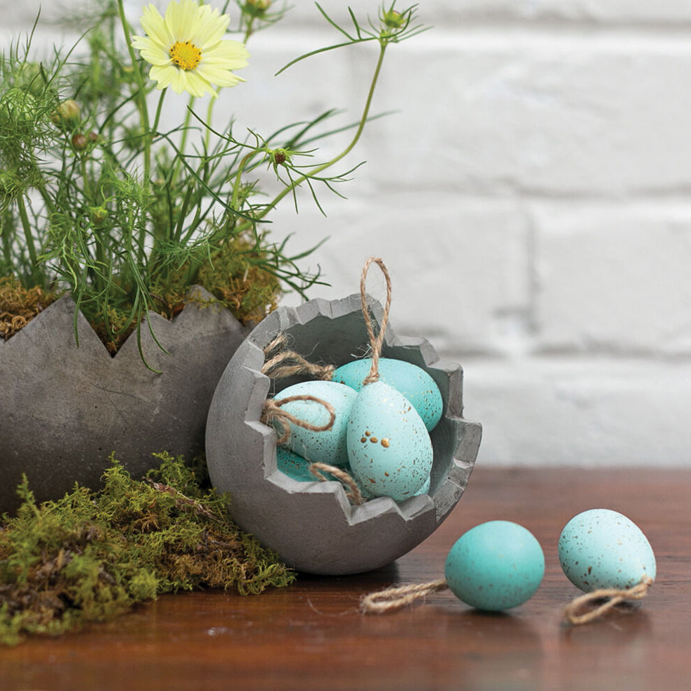 Robin Egg Ornament Set