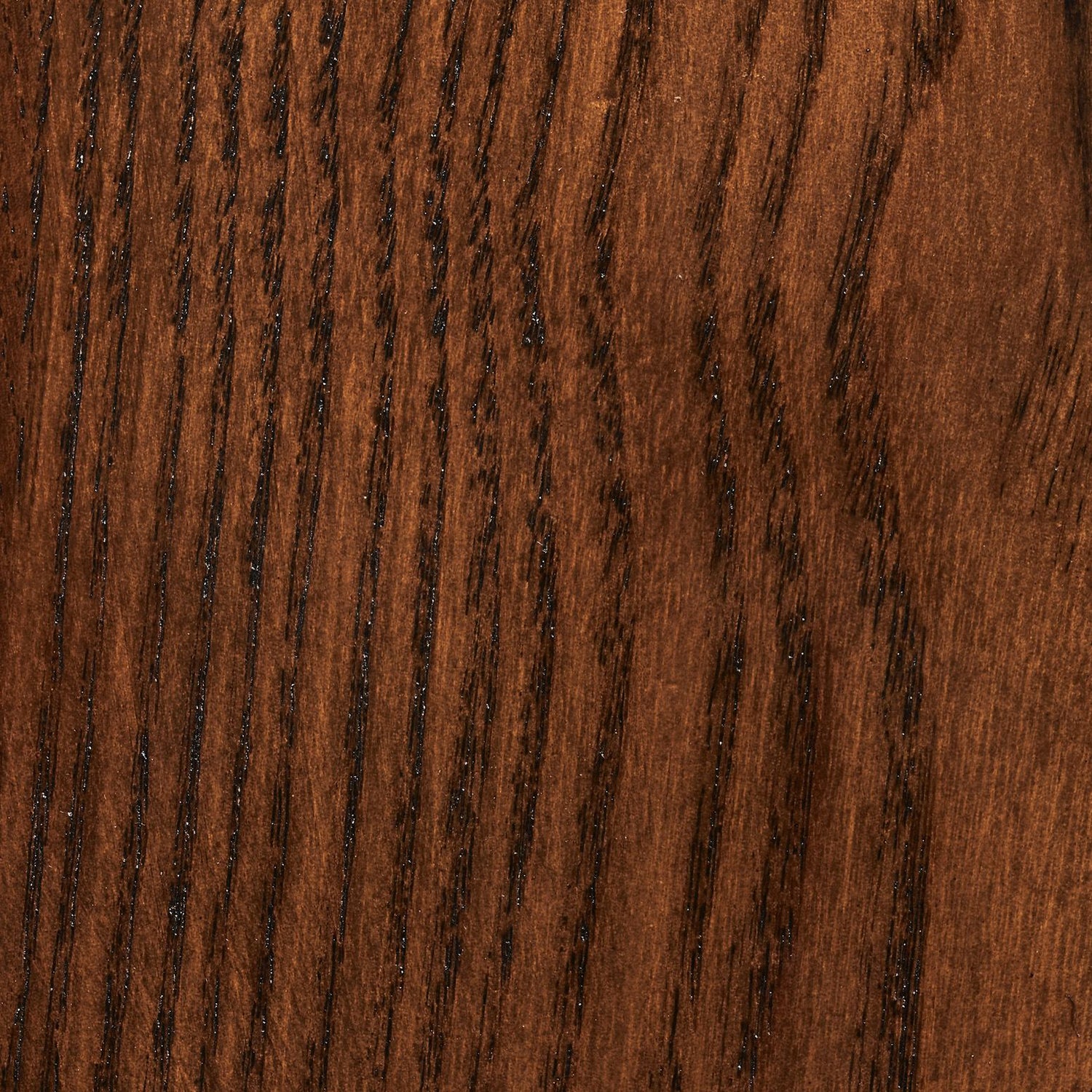 Interlude Home Cidra Bar Stool