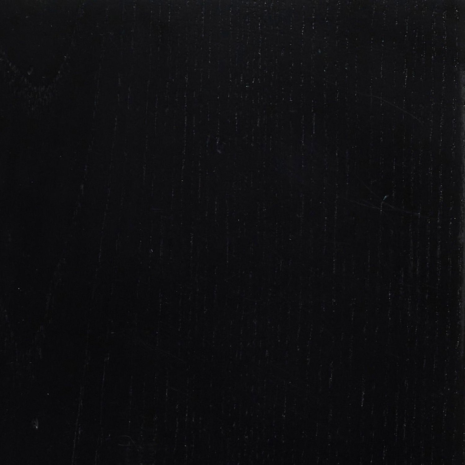 Interlude Home Stella Dining Chair Set of 2