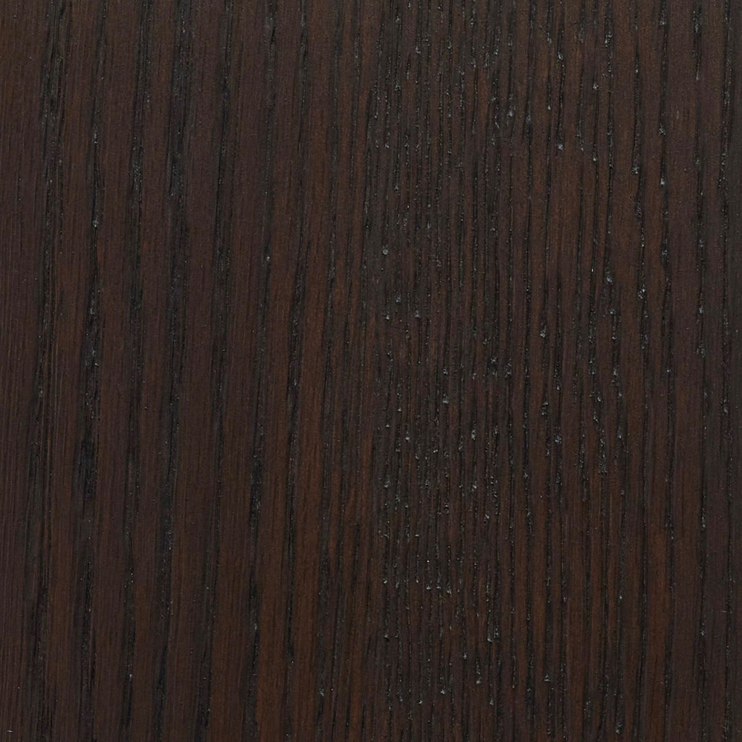 Interlude Home Fowler Dining Chair Set of 2