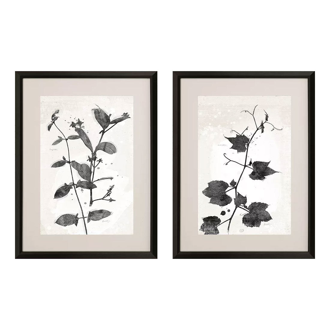 Barrett Garden Vines II Framed Art Set of 2