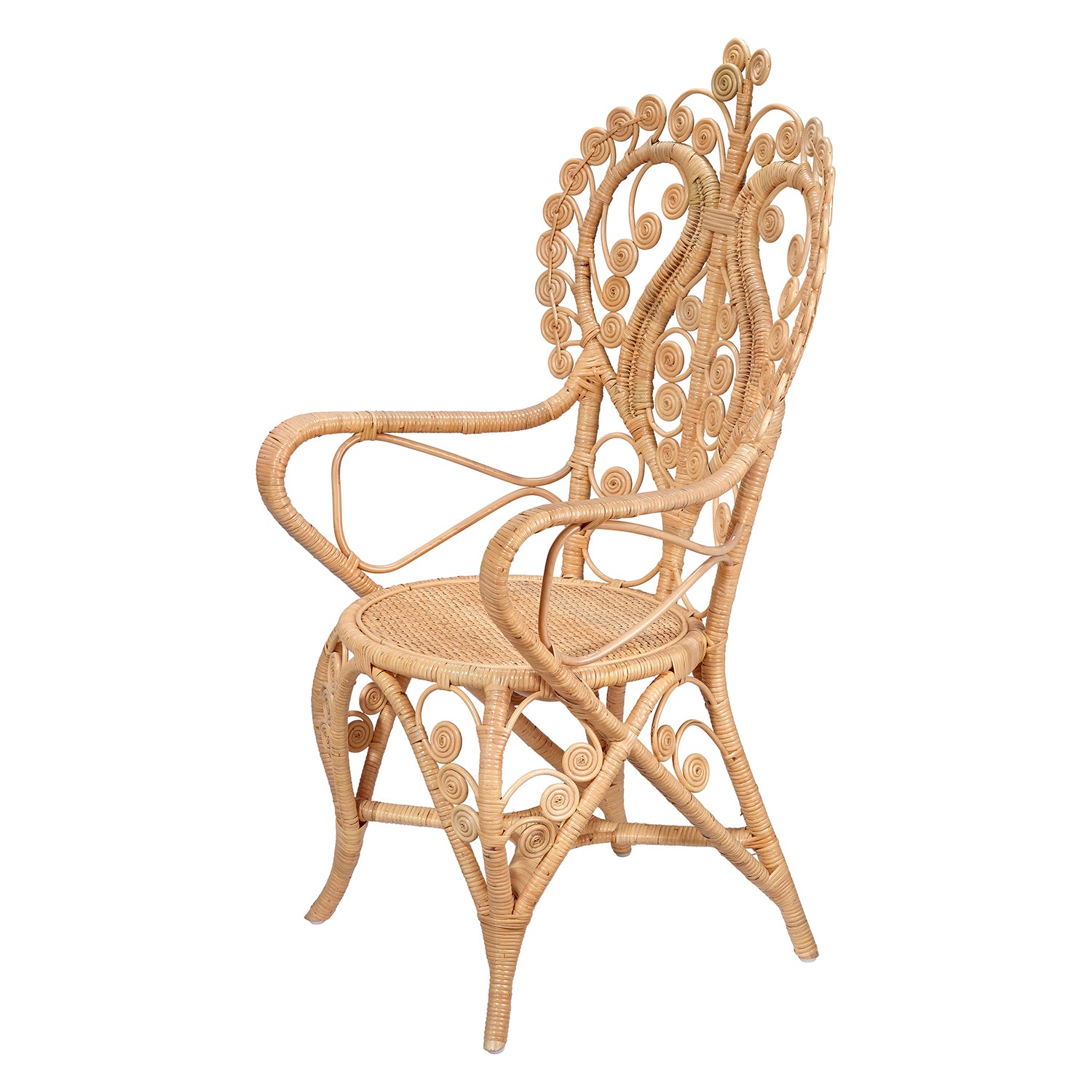 Jamie Young Hibiscus Arm Chair