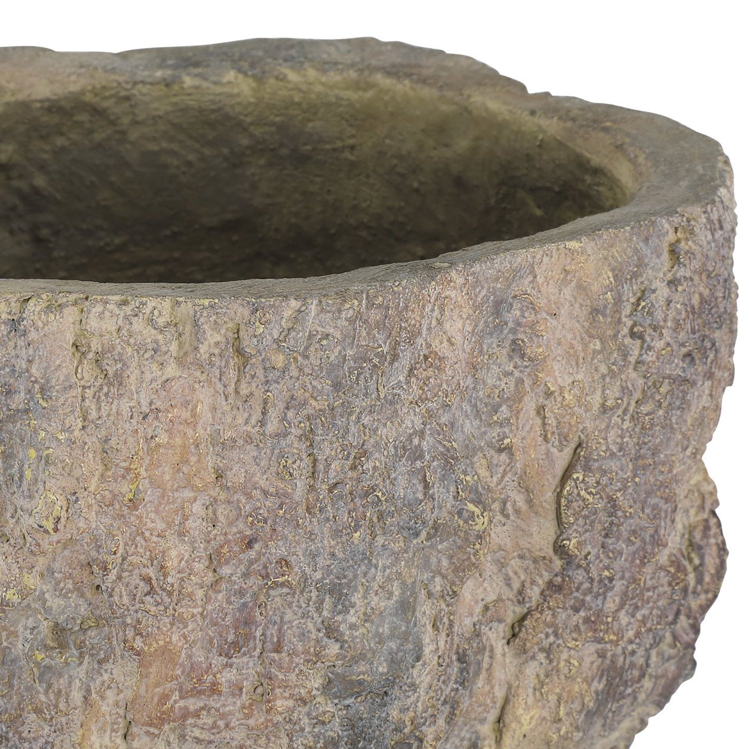 Currey & Co Old Growth Planter