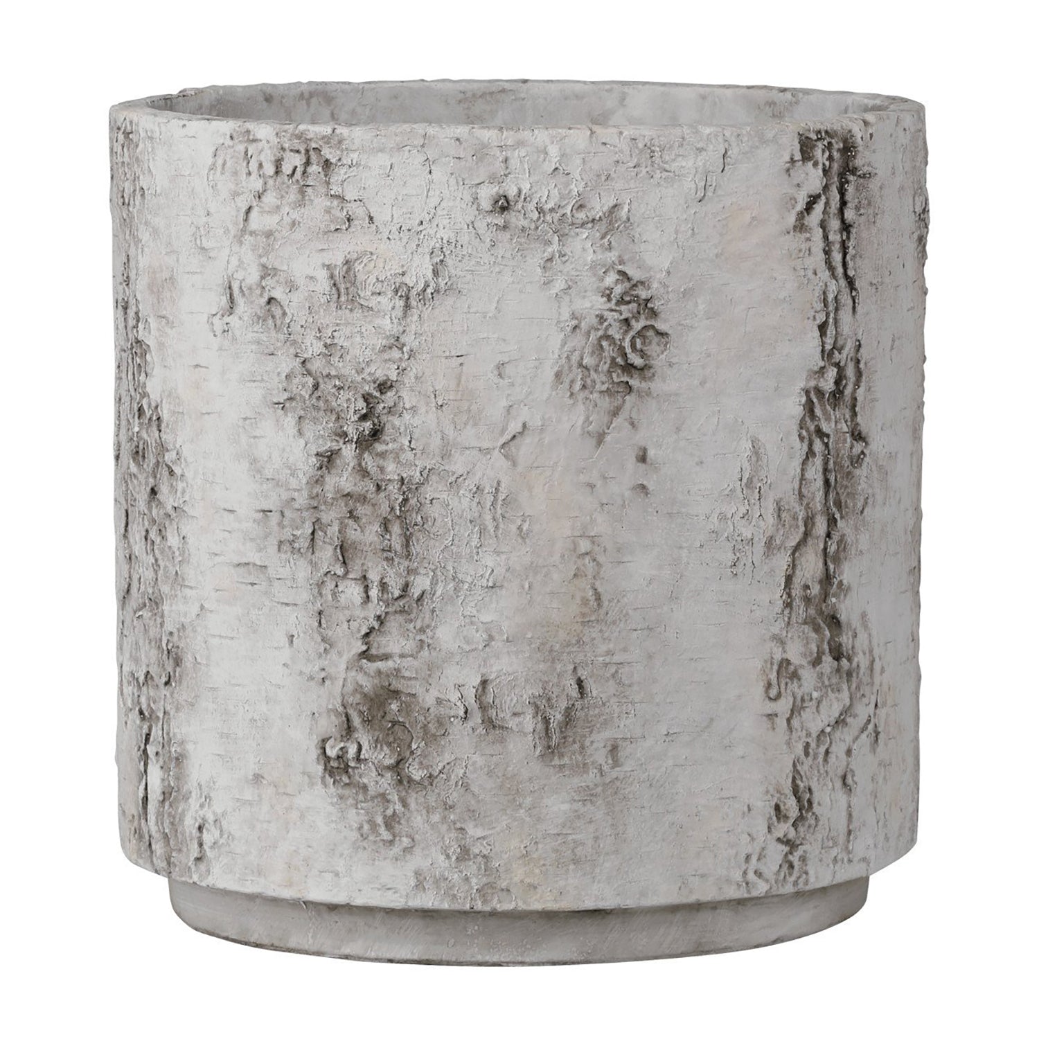Currey & Co Faux Birch Planter
