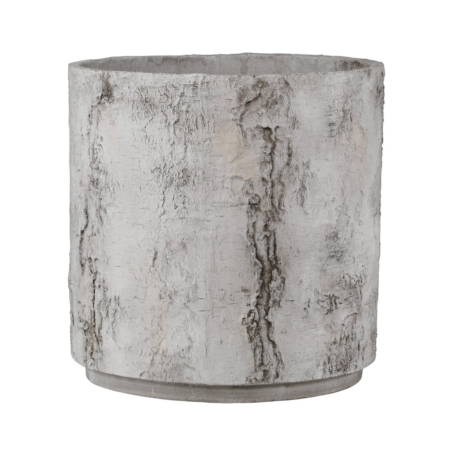 Currey & Co Faux Birch Planter