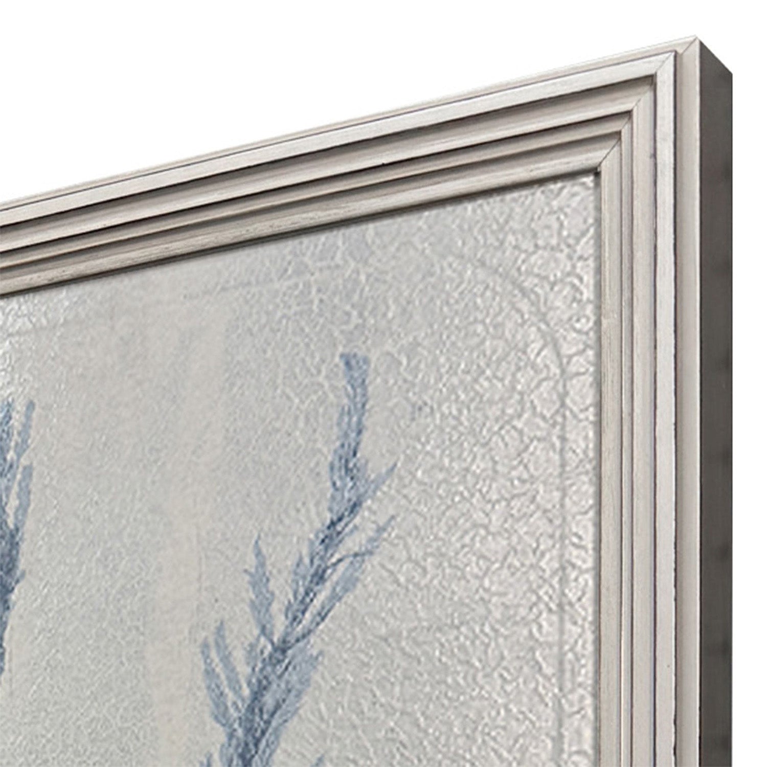 The Studio Oceanic Curiosity I Framed Art Set of 2
