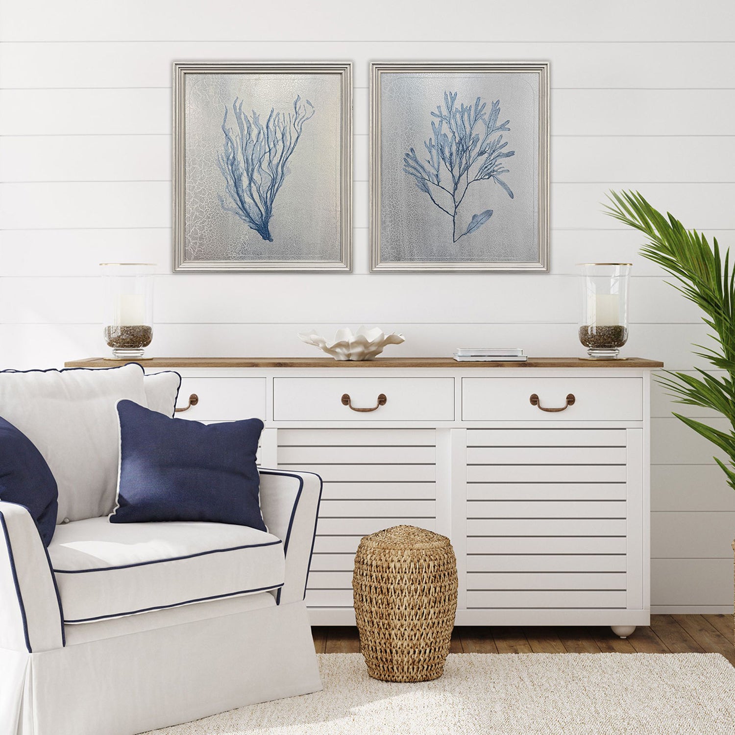 The Studio Oceanic Curiosity II Framed Art Set of 2