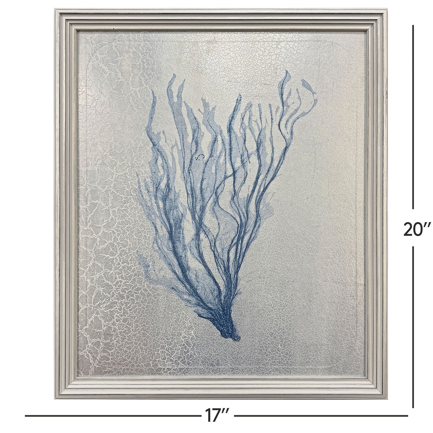 The Studio Oceanic Curiosity II Framed Art Set of 2