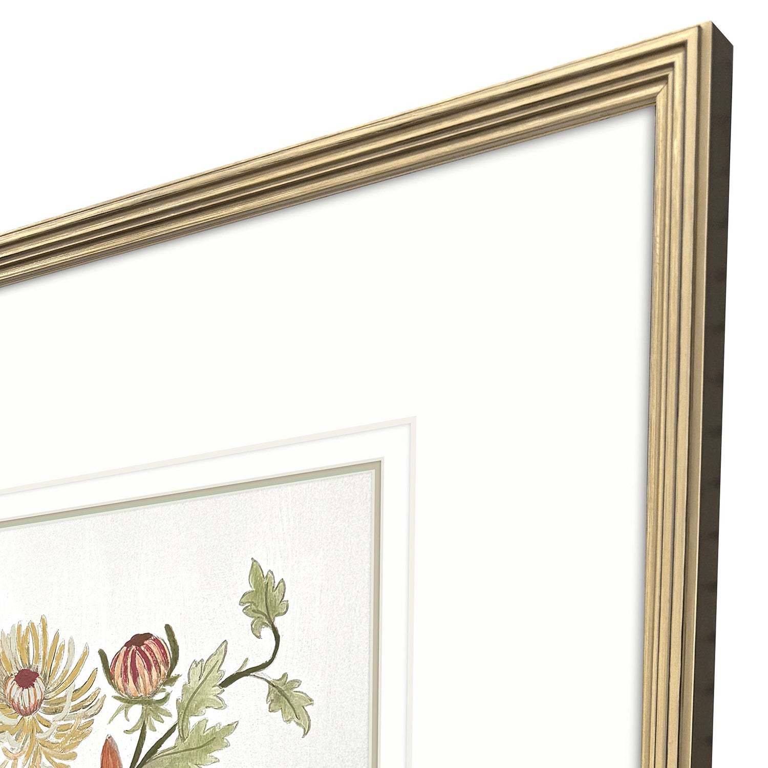 The Studio Botanica I Framed Art