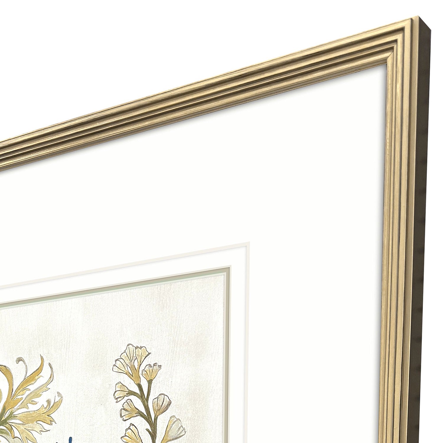 The Studio Botanica III Framed Art