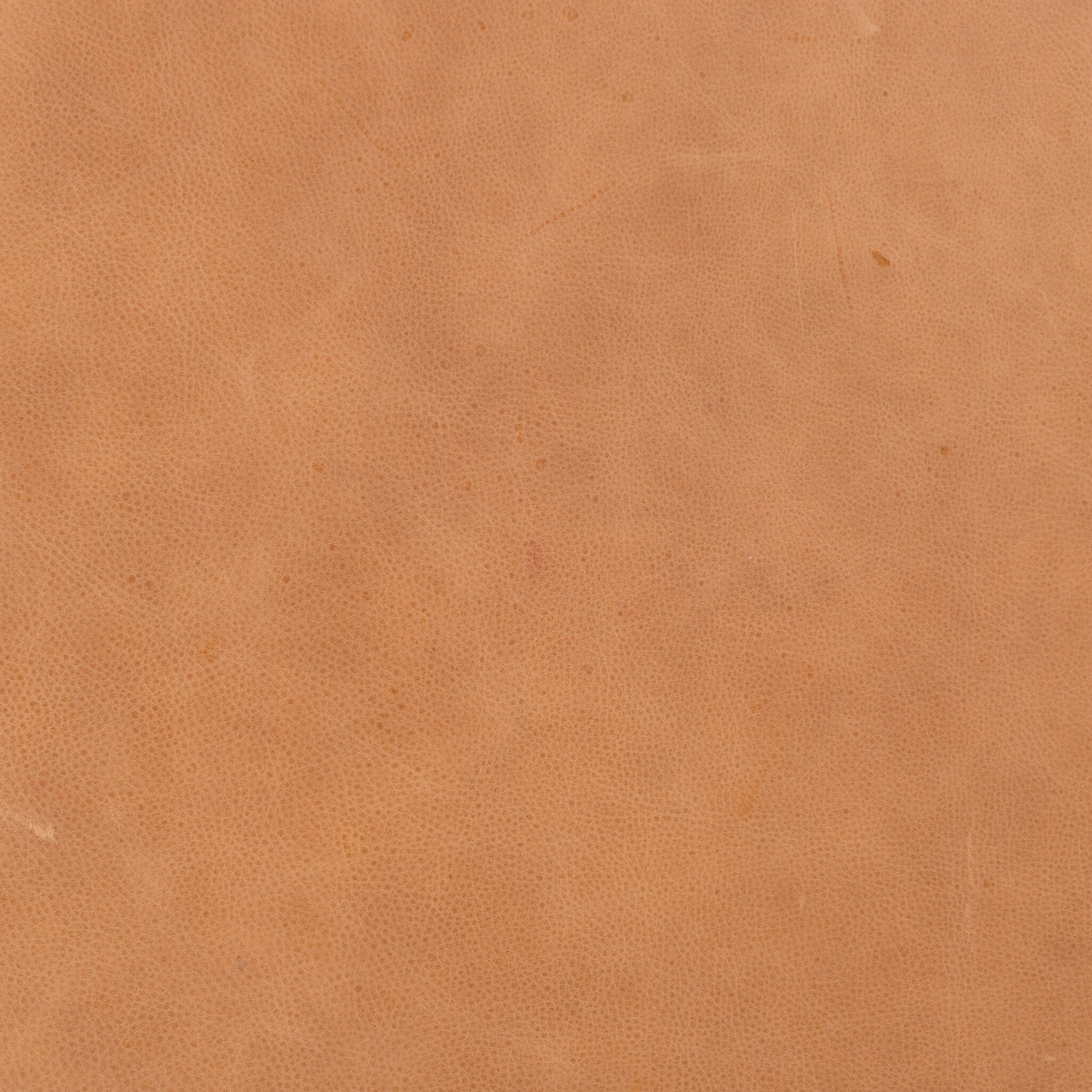 Four Hands Kiera Palermo Cognac Sofa detailed view