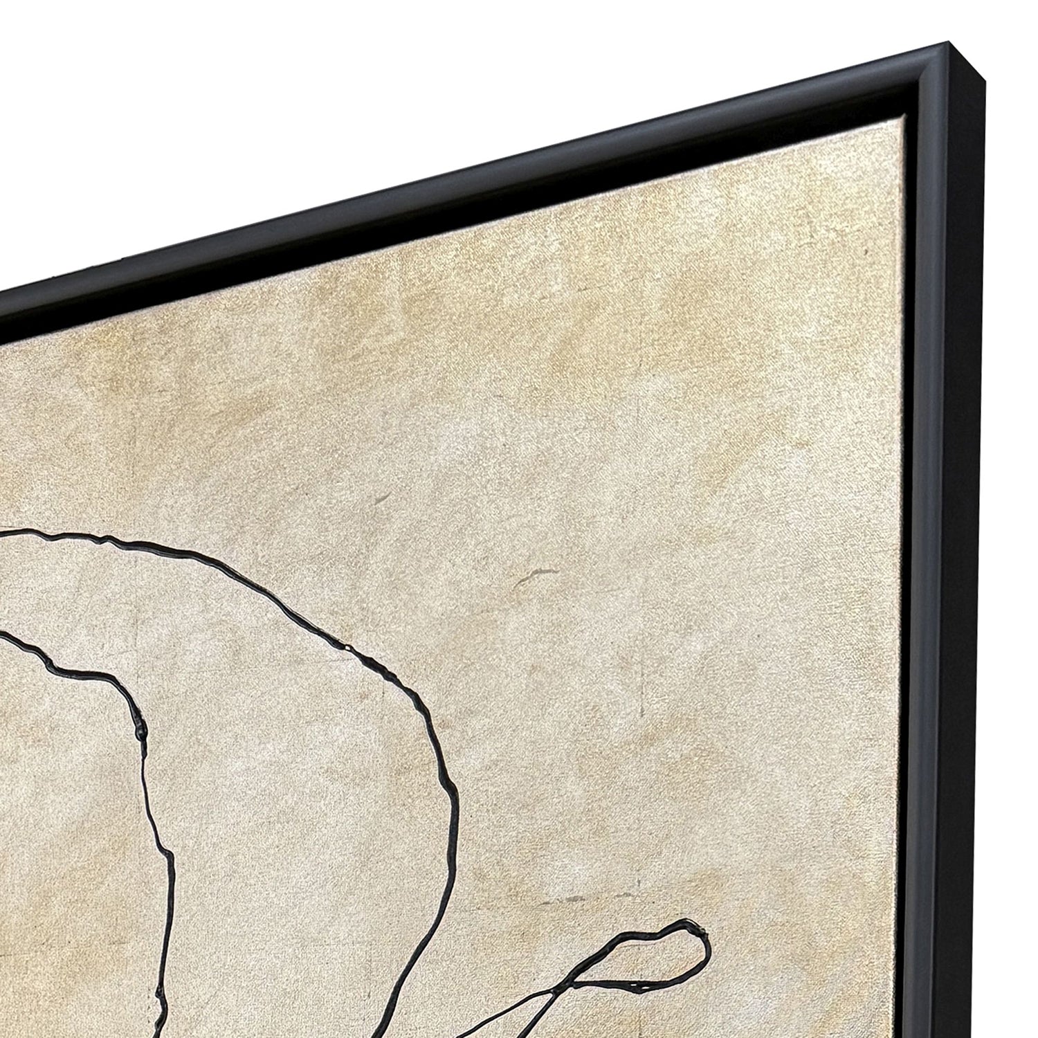 Adamson-Ray Silver Poppies I Canvas Art