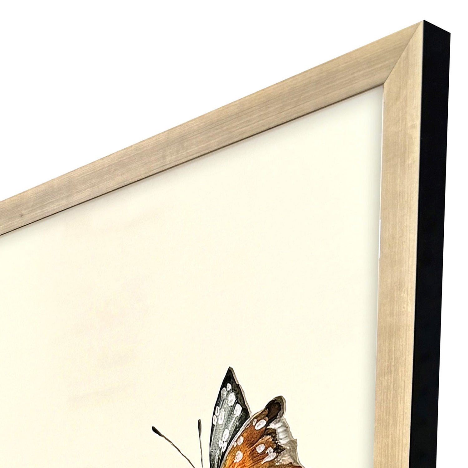 Jardine Garden of Eden II Framed Artwork