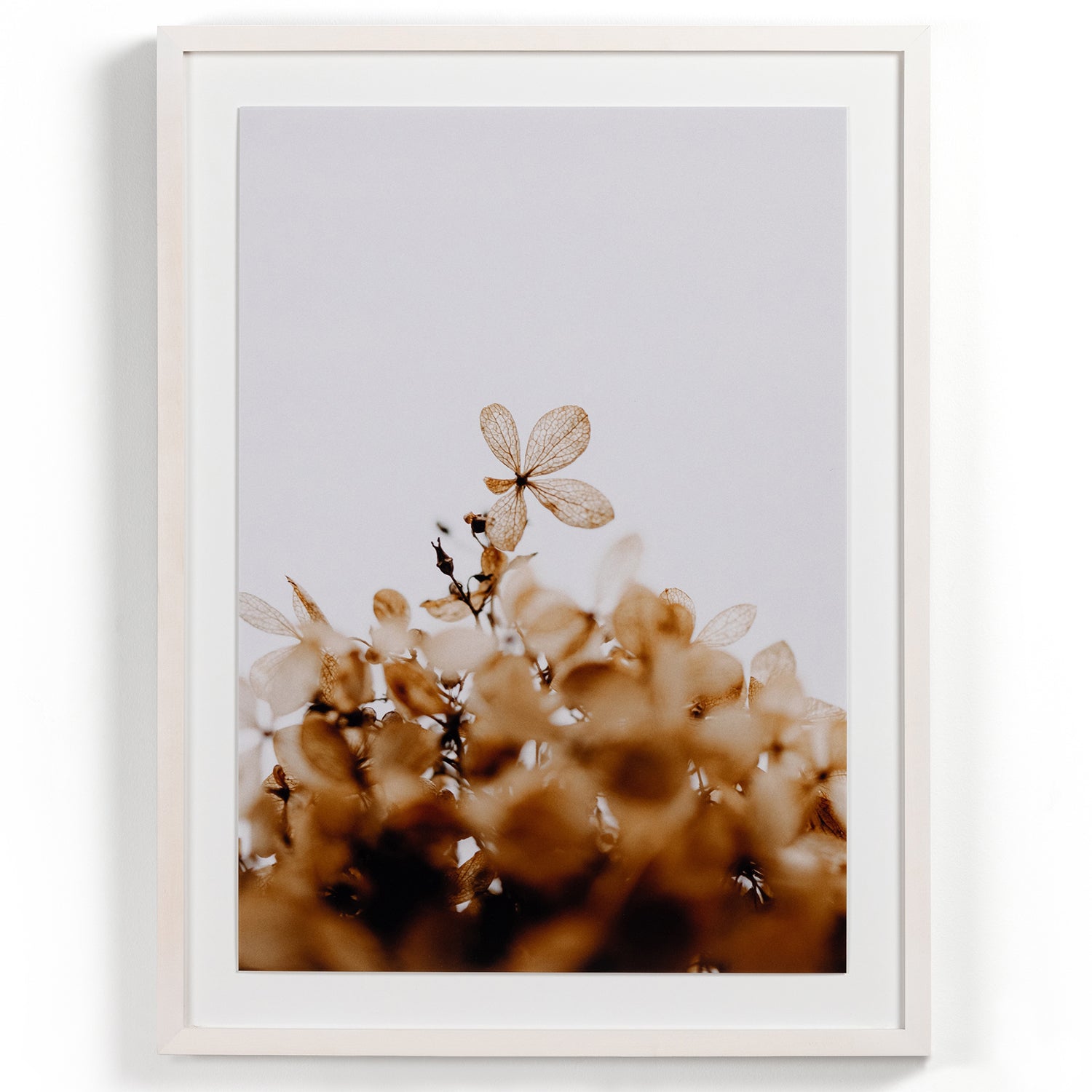 Four Hands Greetings Framed Artwork