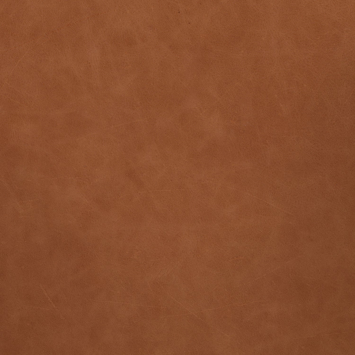 Four Hands Amare Dining Armchair Set of 2