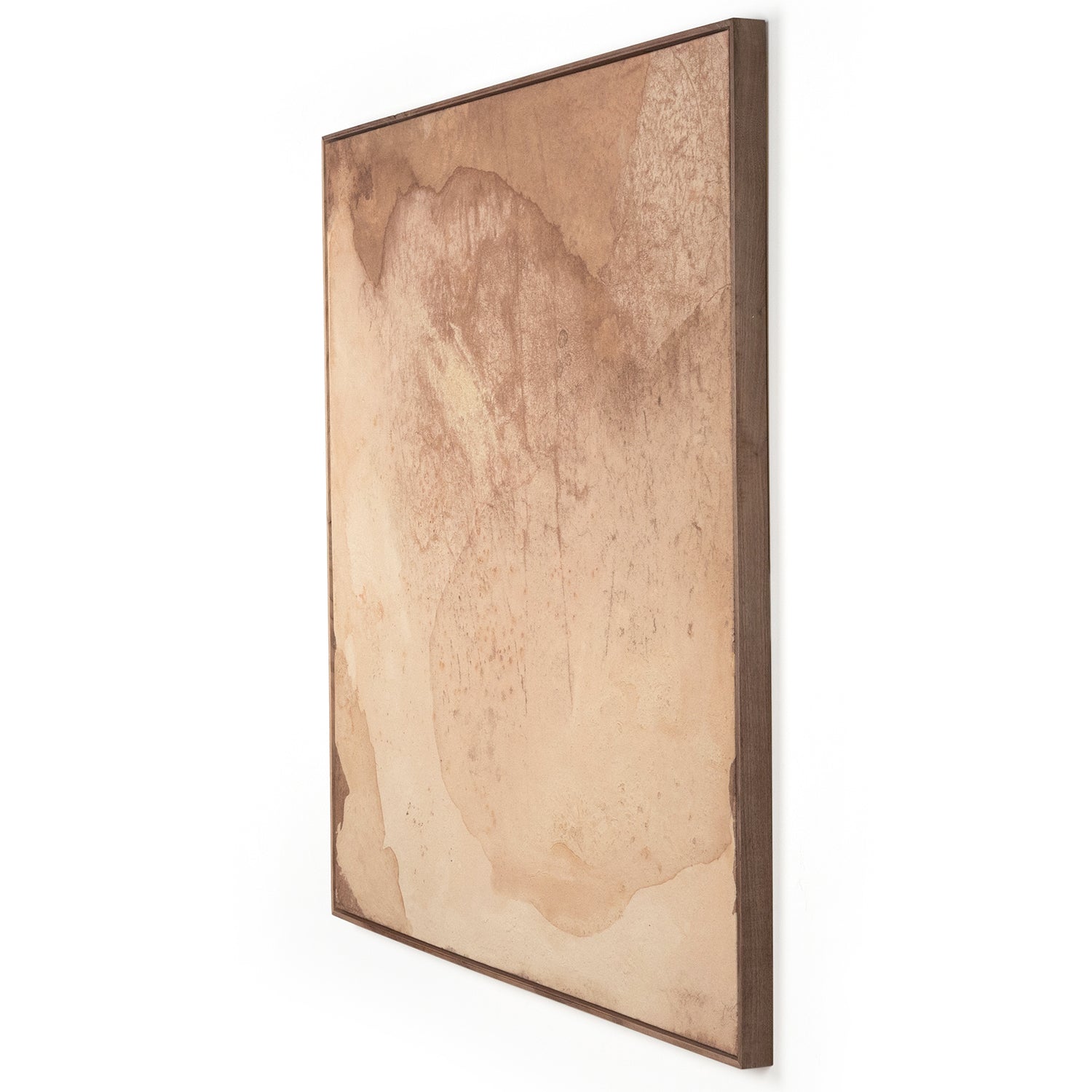 Four Hands Unforeseen Beauty Framed Artwork