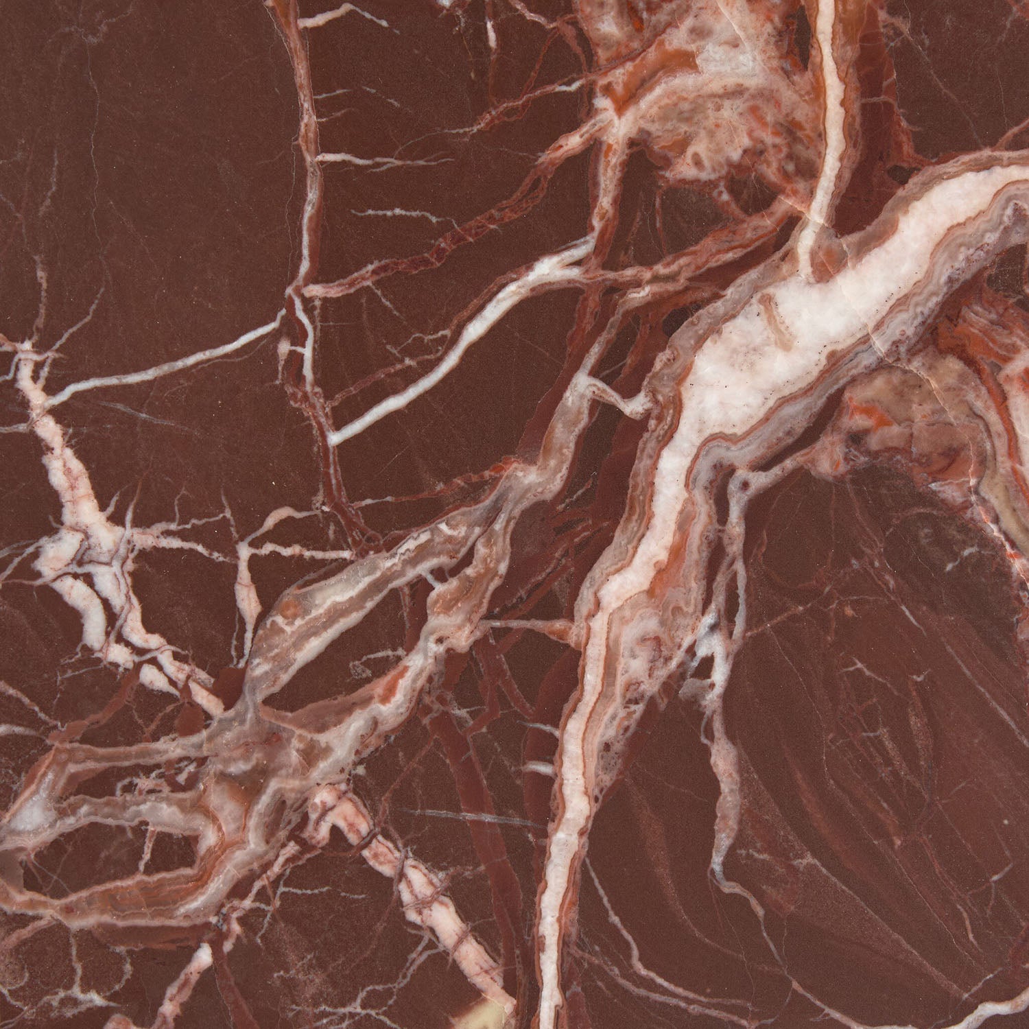 Four Hands Zion Coffee Table