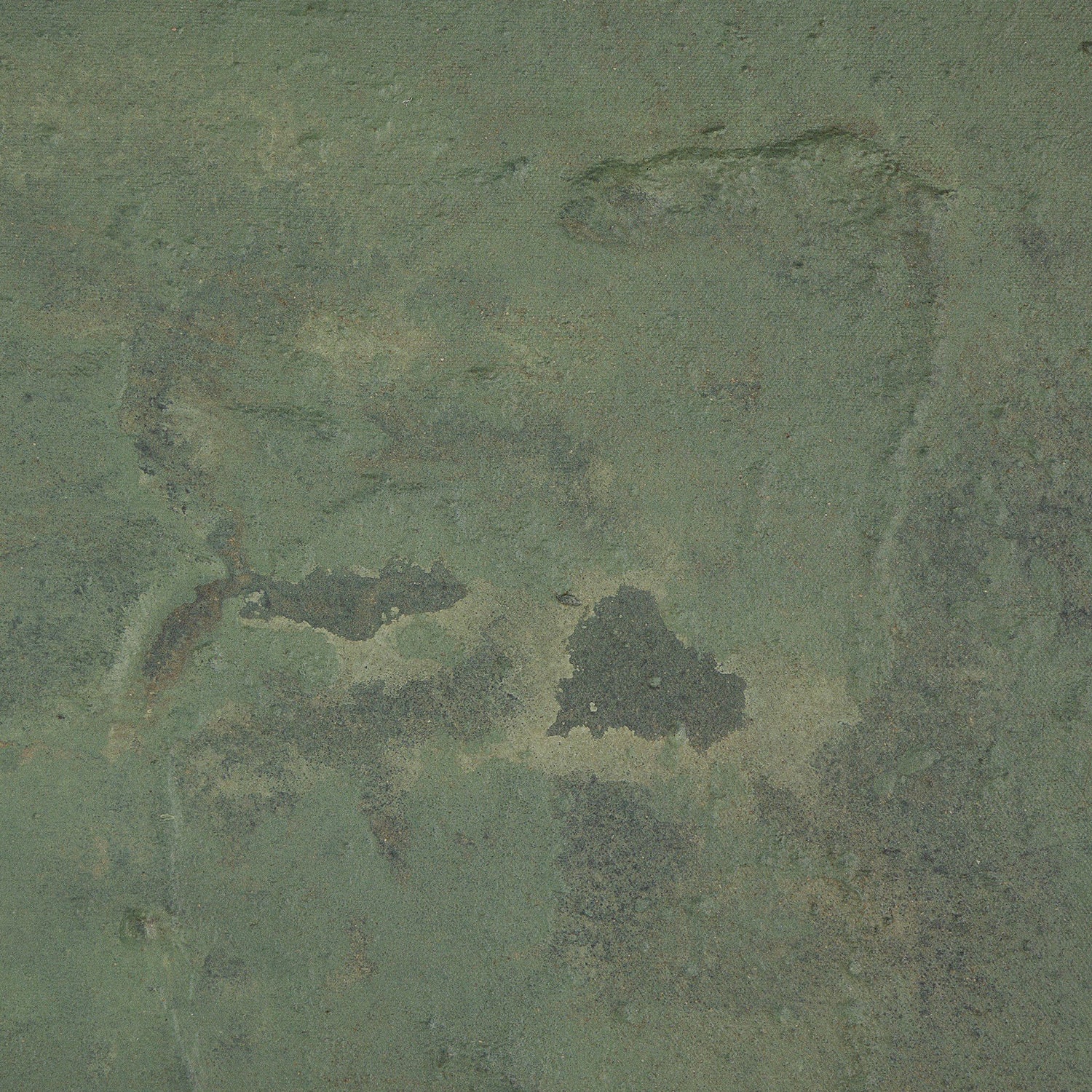 Four Hands x Tyler Guinn Carrying The Olive Branch No 2 Canvas Framed Art