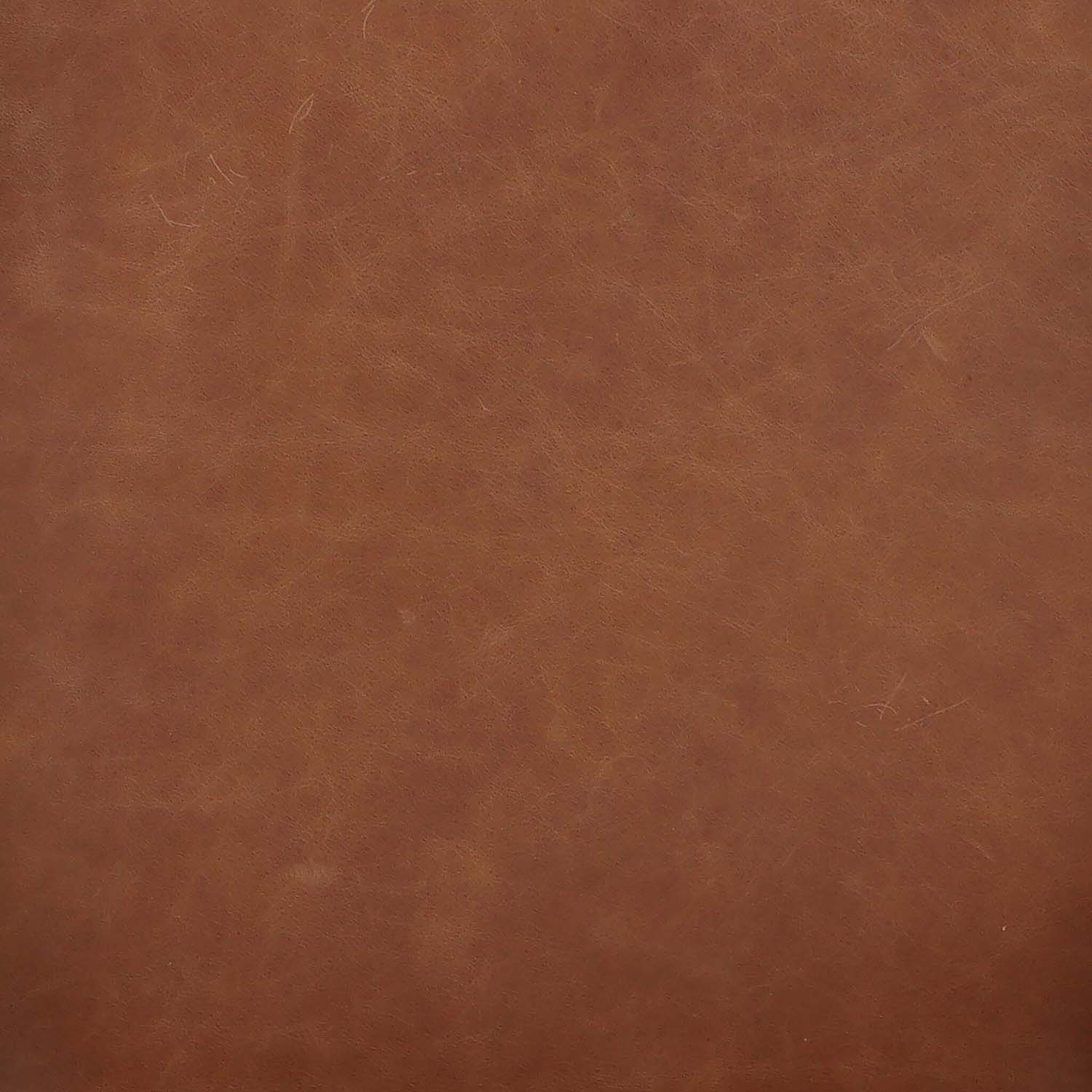 Four Hands Dane Dining Chair Set of 2