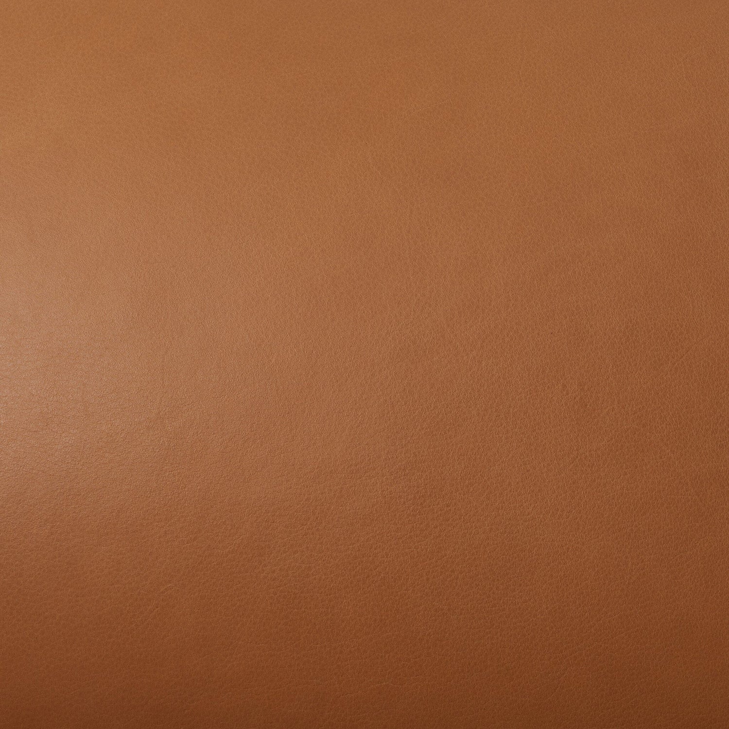 Four Hands Eisley Chair - Final Sale