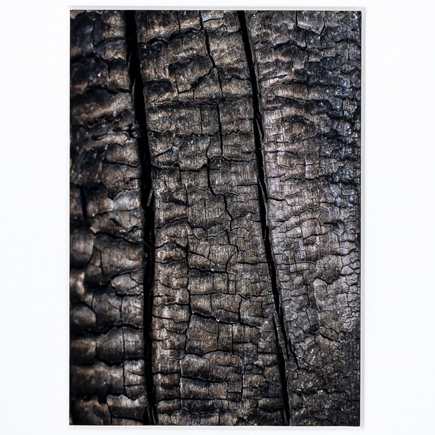 Four Hands Obsidian Framed Art Set