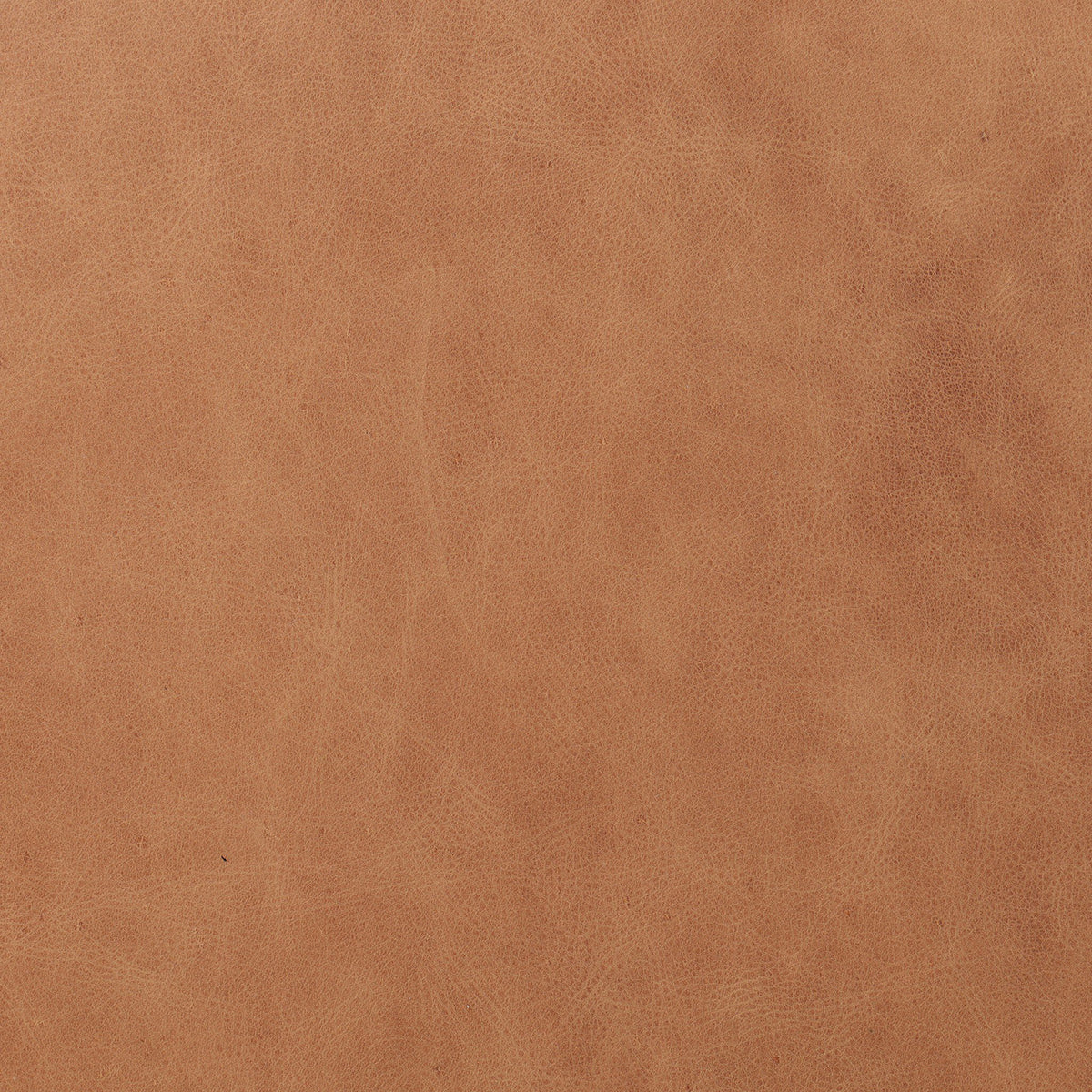 Four Hands Colter Counter Stool Set of 2