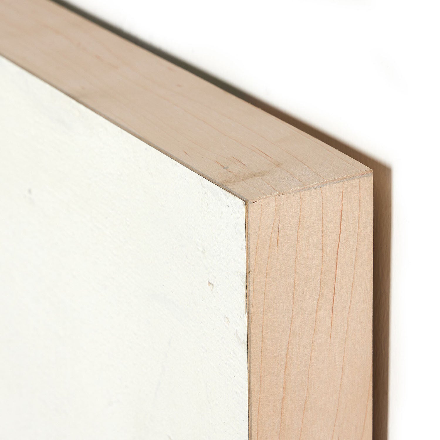 Four Hands x Paul Meyer Burro Dia Framed Wall Art