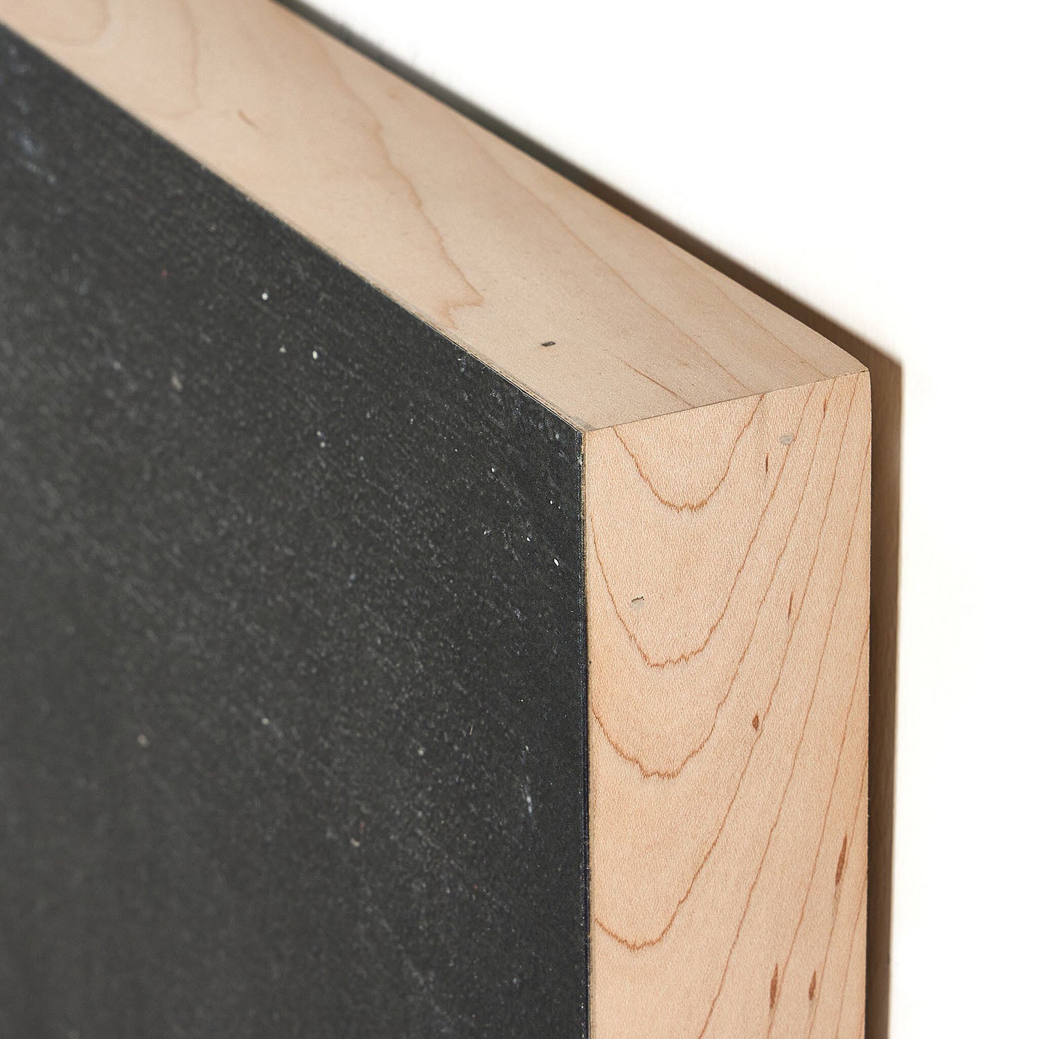 Four Hands x Paul Meyer Burro Noche Framed Wall Art