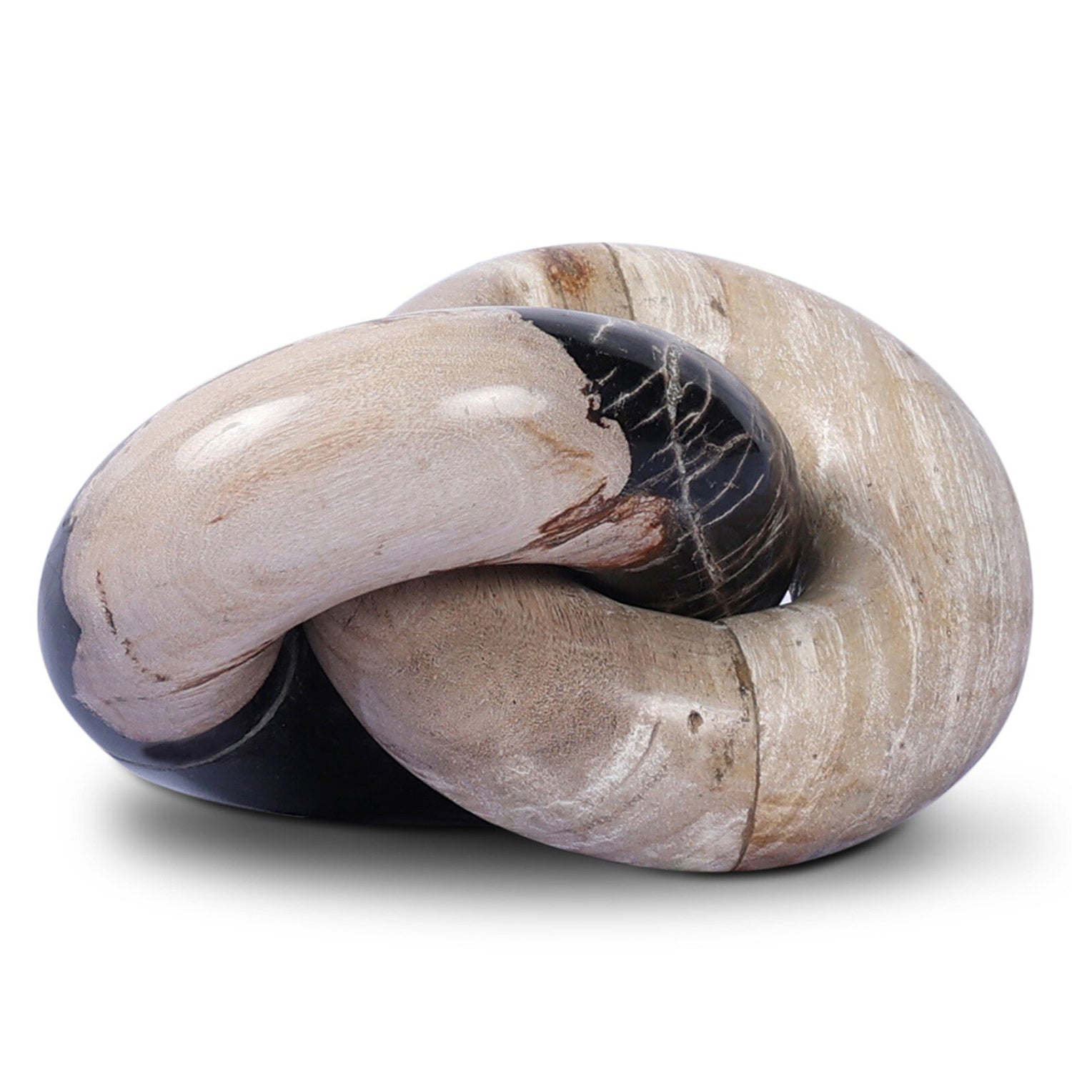 Four Hands Petrified Wood Knot Tabletop Accent