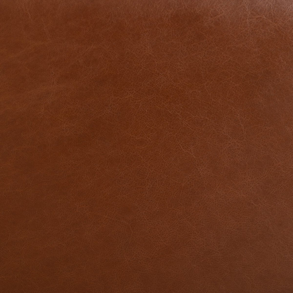 Four Hands Neera Recliner