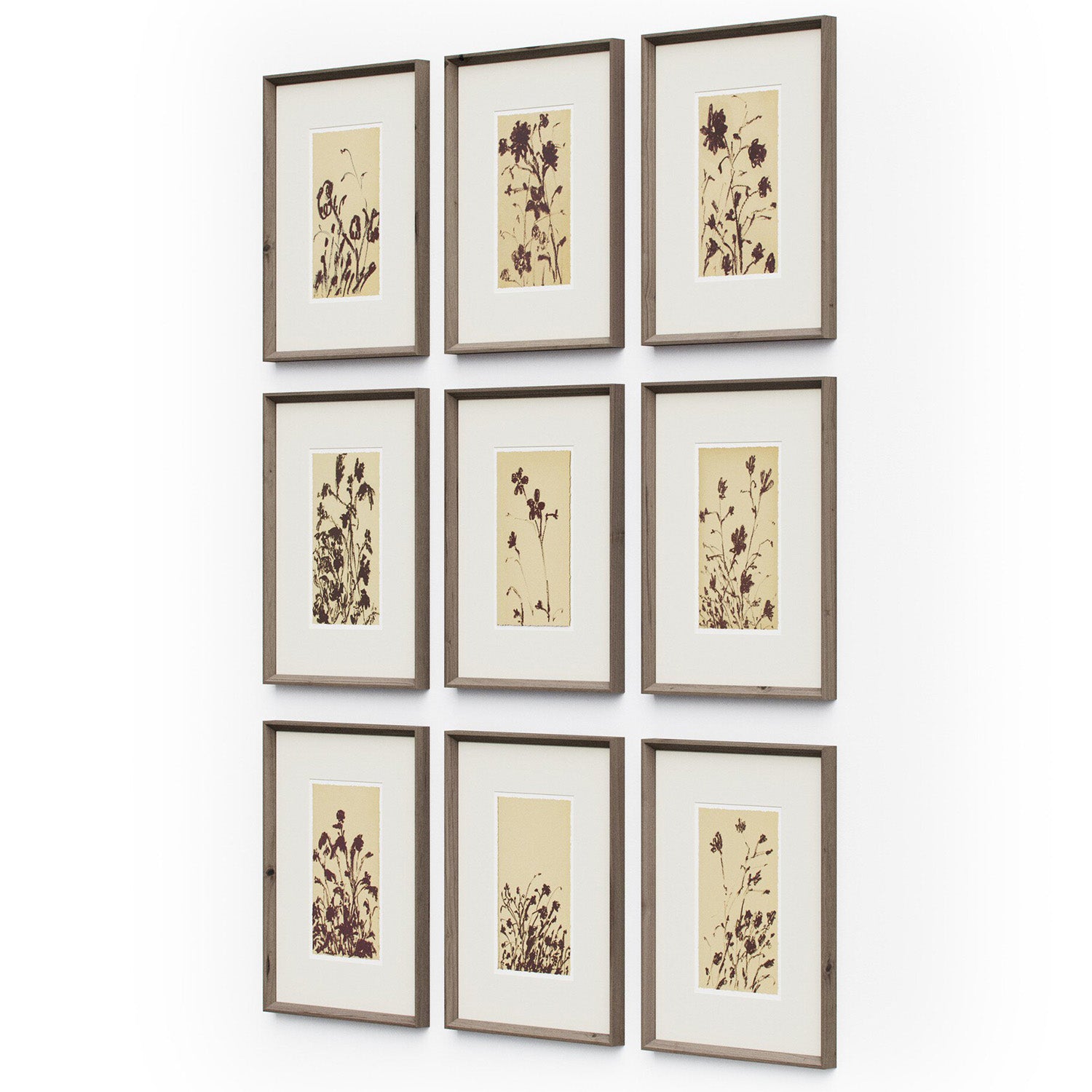 Four Hands Wild Blooms Set Framed Wall Art