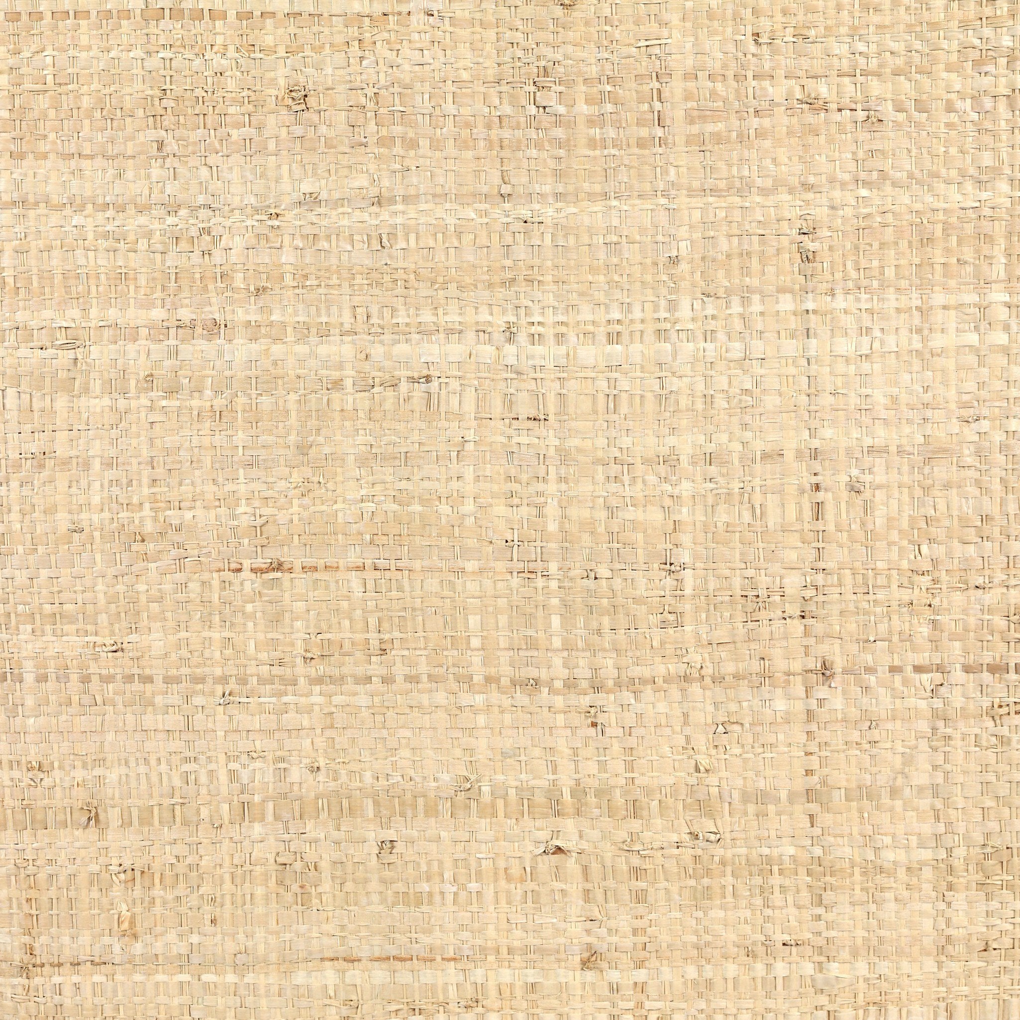 Four Hands Meyer Natural Fleck Raffia Media Console - detail 2