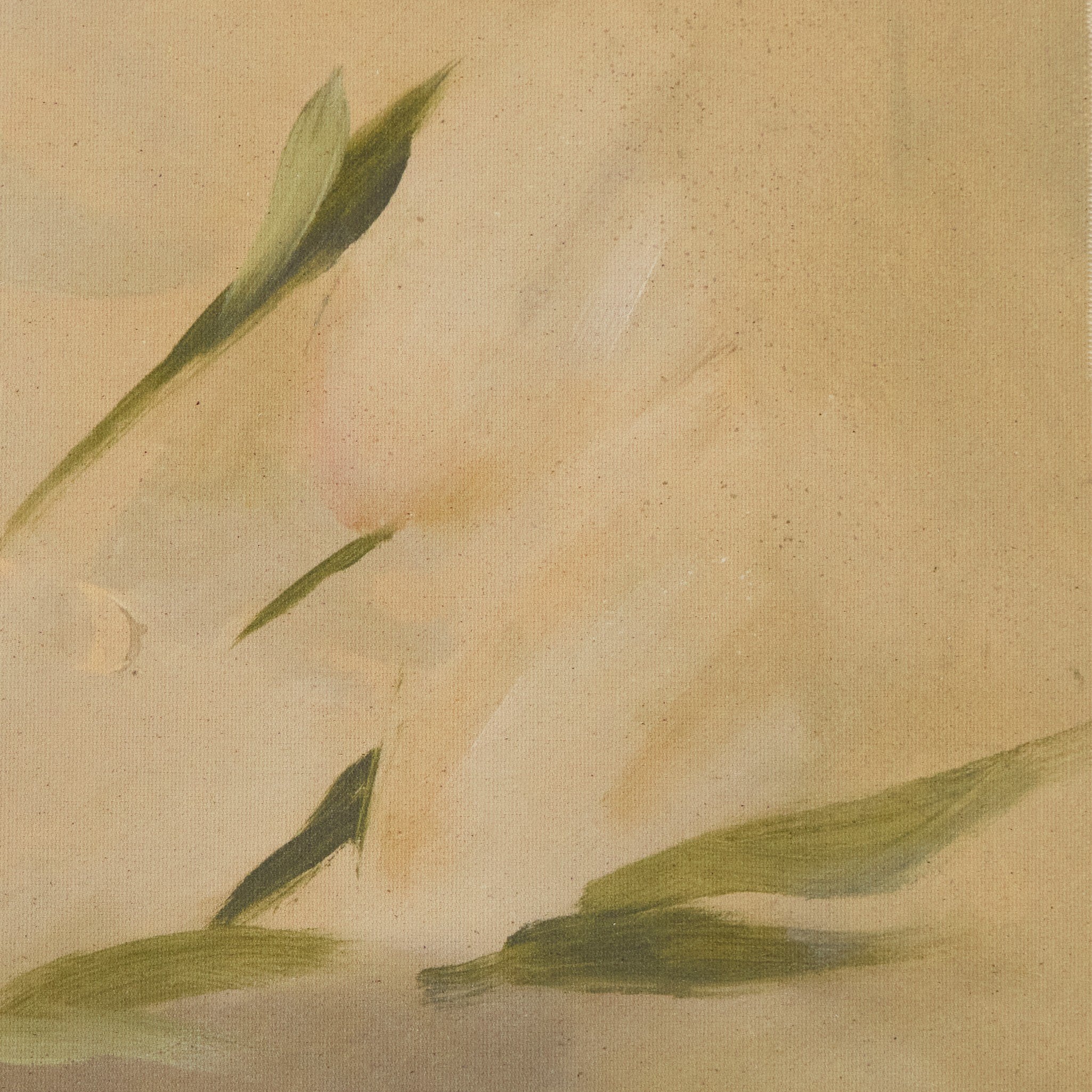 Jess Engle x Four Hands Bowl Of Tulips Diptych Framed Artwork