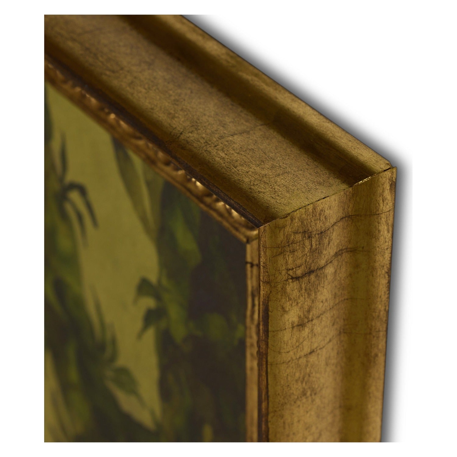 Molly Franken x Four Hands Epiphytes in gilded antique gold frame, close-up detail of botanical brushwork