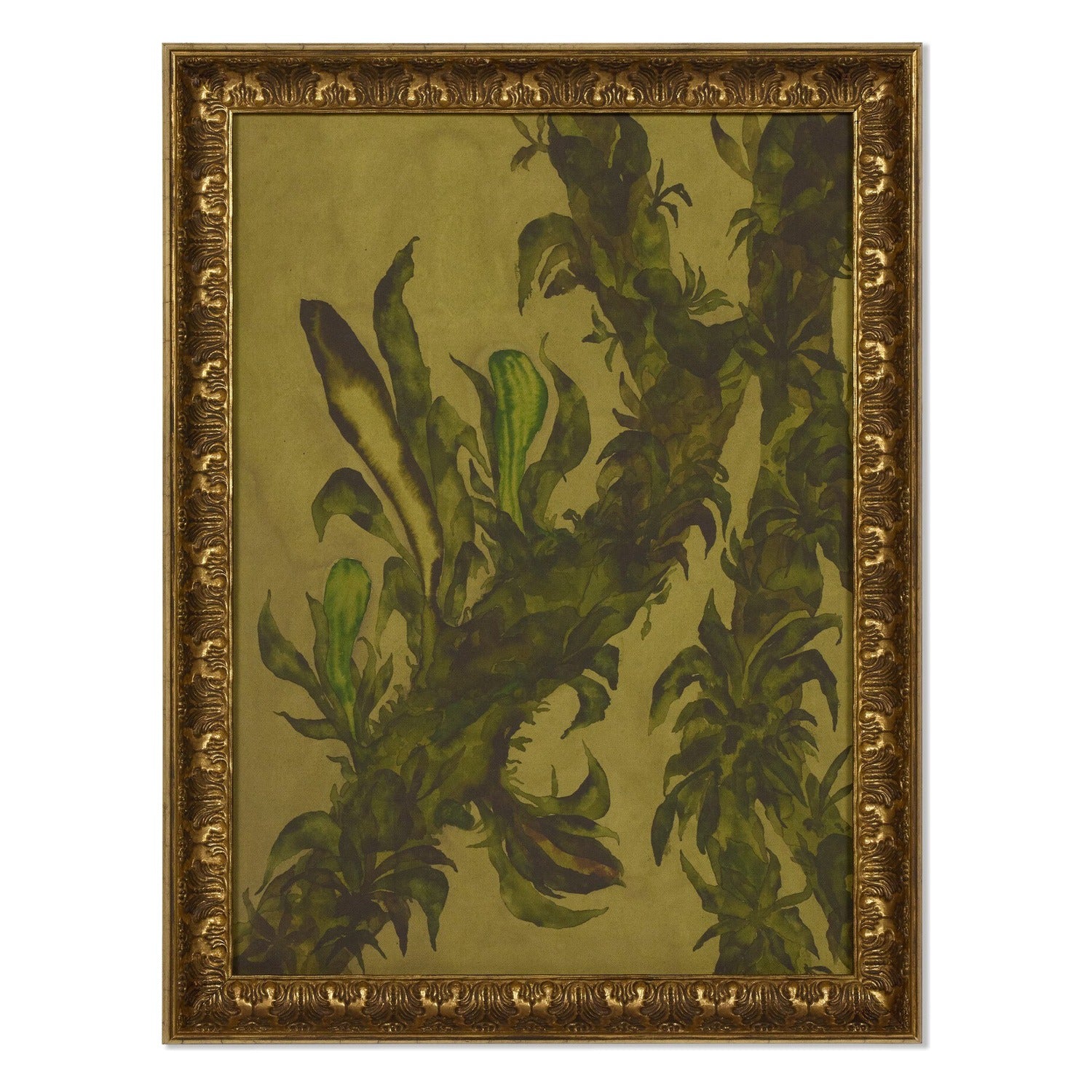 Four Hands x Molly Franken Epiphytes Gilded Antique Gold Framed Art