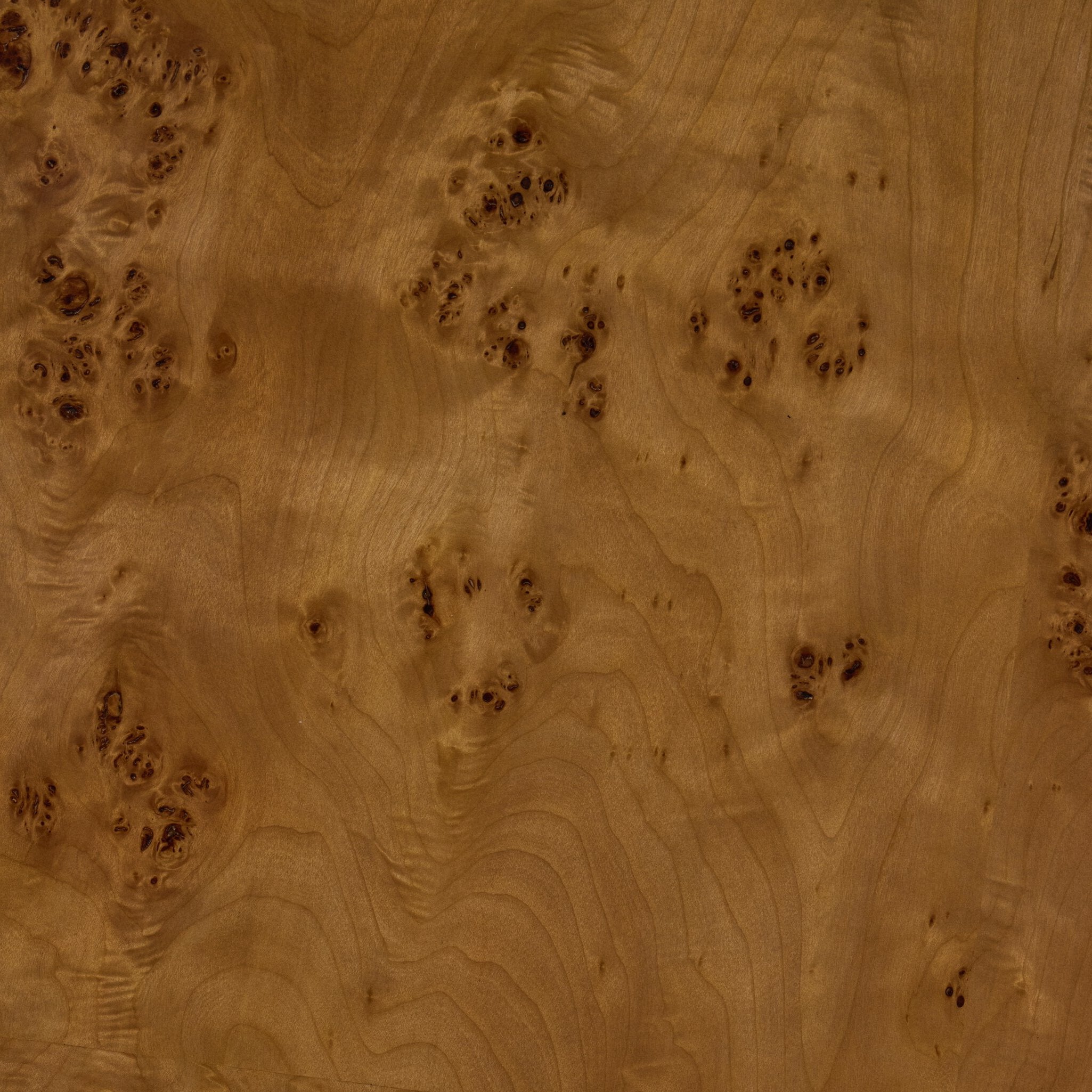 Four Hands Caya Caramel Burl Large Coffee Table detail view