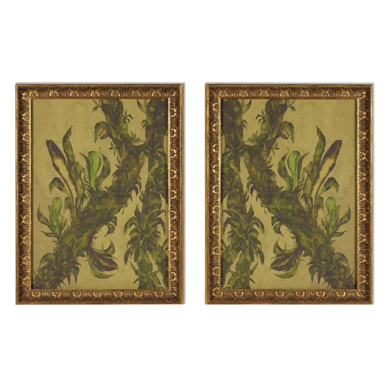 Four Hands x Molly Franken Epiphytes Diptych Gilded Antique Gold Framed Art
