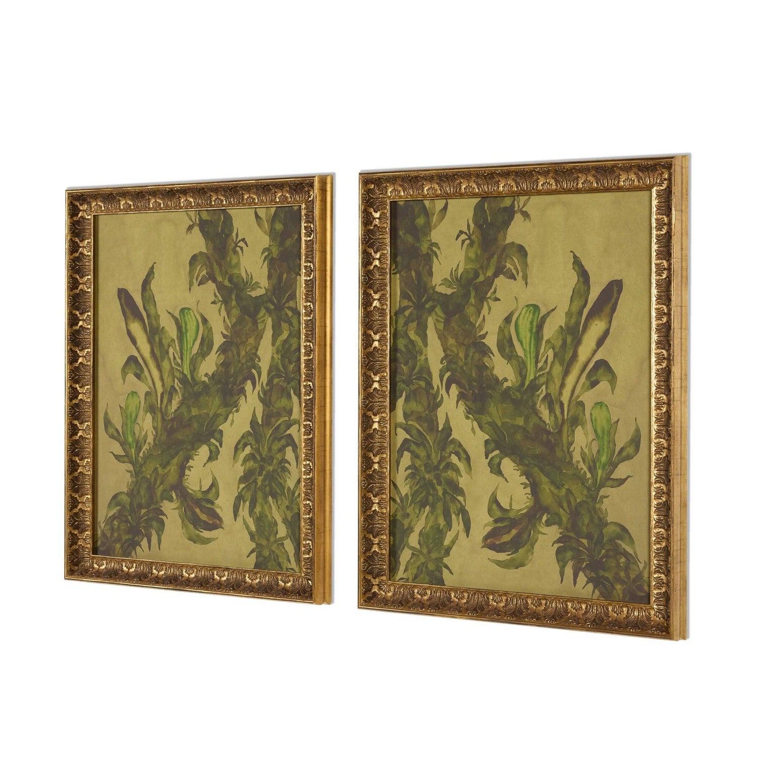 Four Hands x Molly Franken Epiphytes Diptych Gilded Antique Gold Framed Art