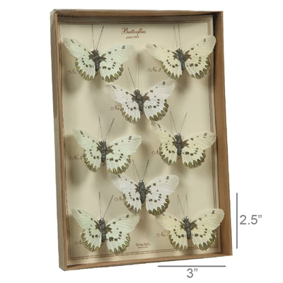 Butterfly Specimen Box